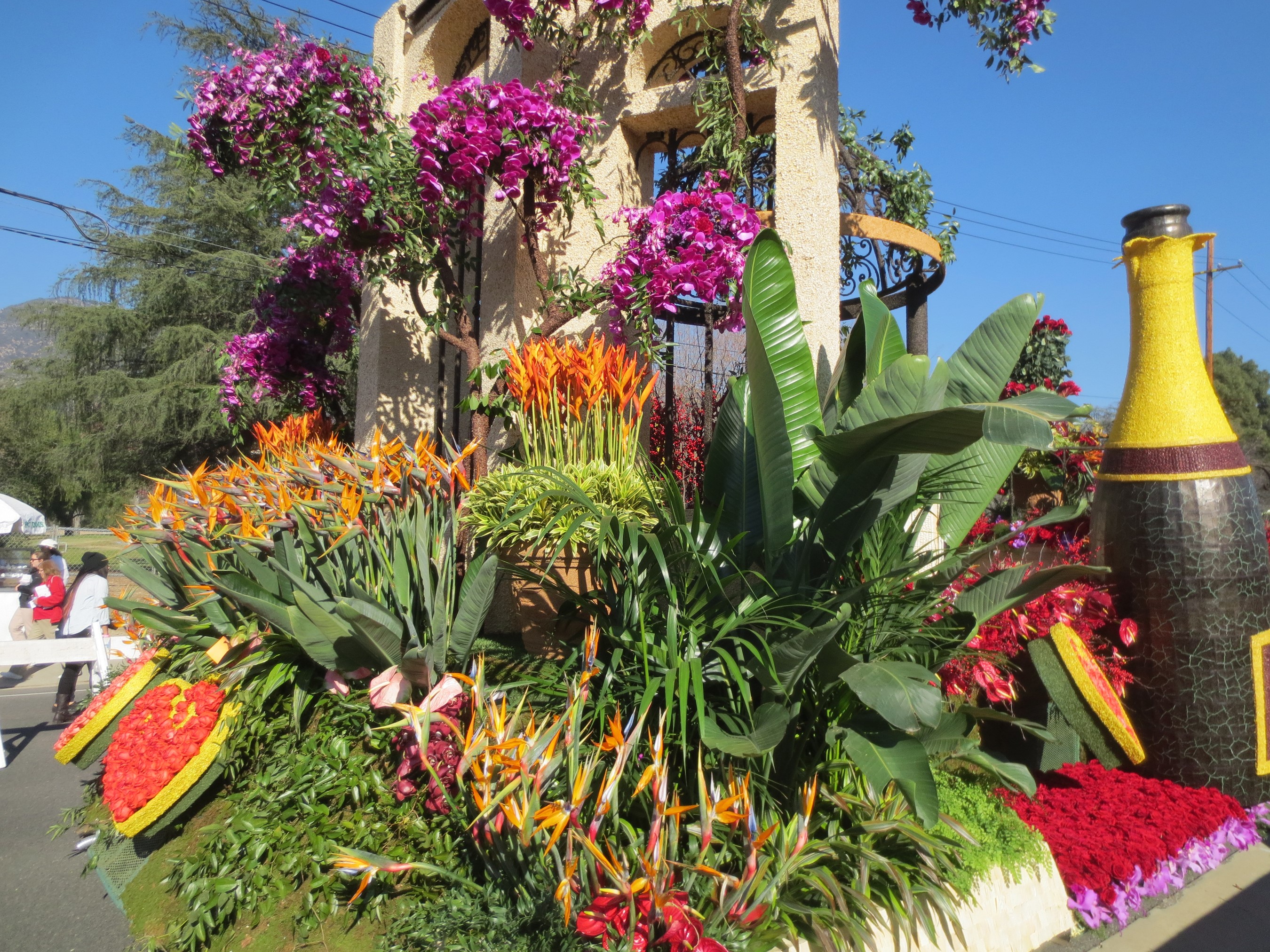 Floral float with champagne bottle and building facade HD Wallpaper
