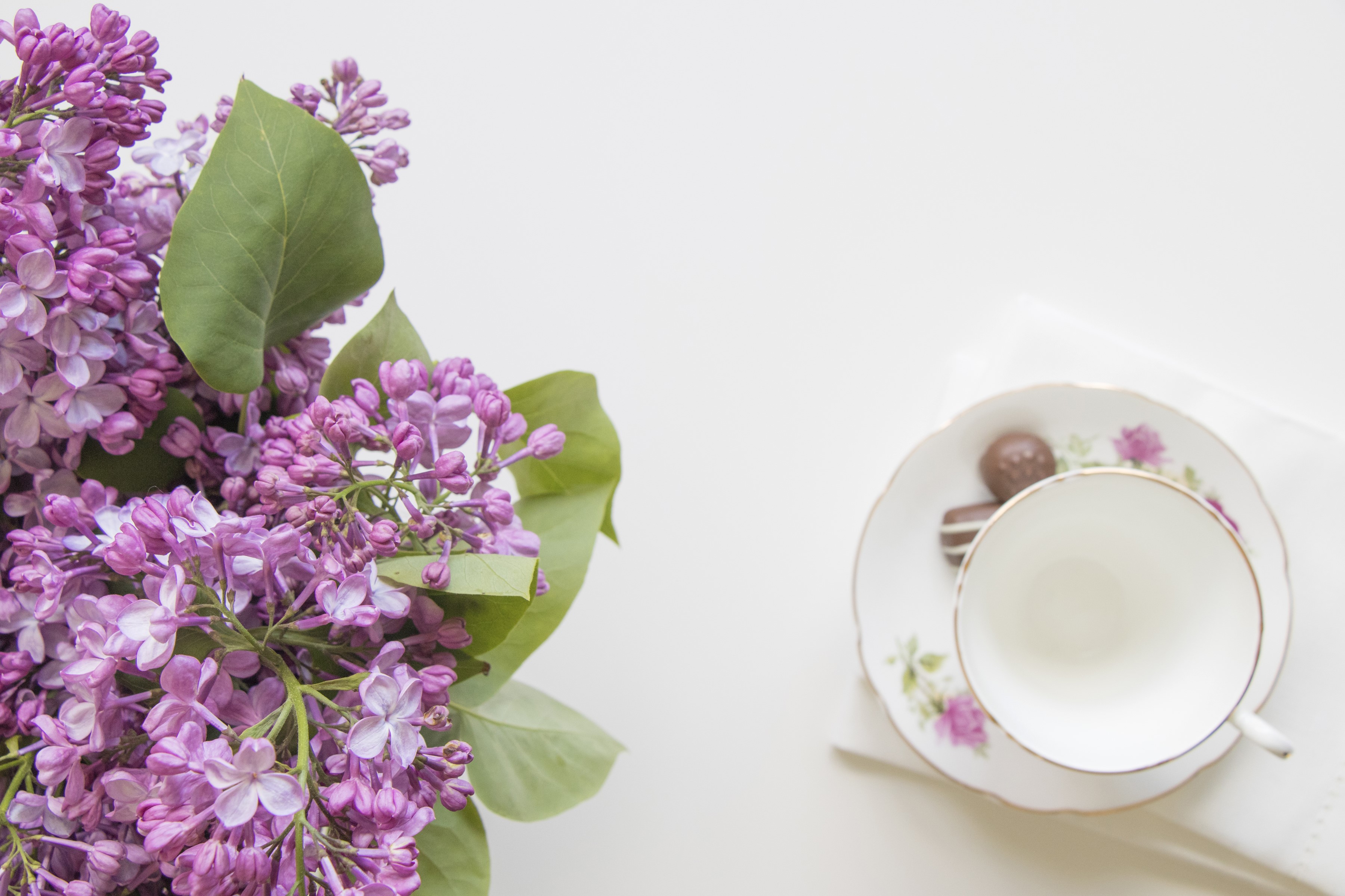 Lilac flowers with a teacup and chocolates HD Wallpaper