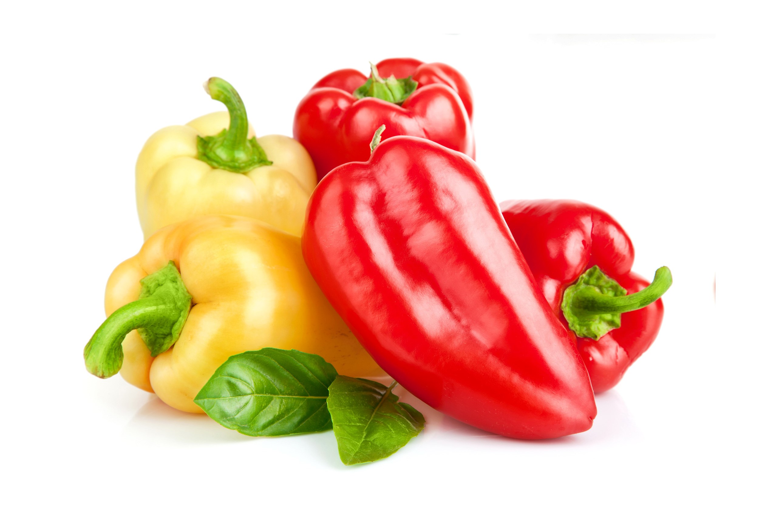 Red and yellow bell peppers with basil leaves HD Wallpaper