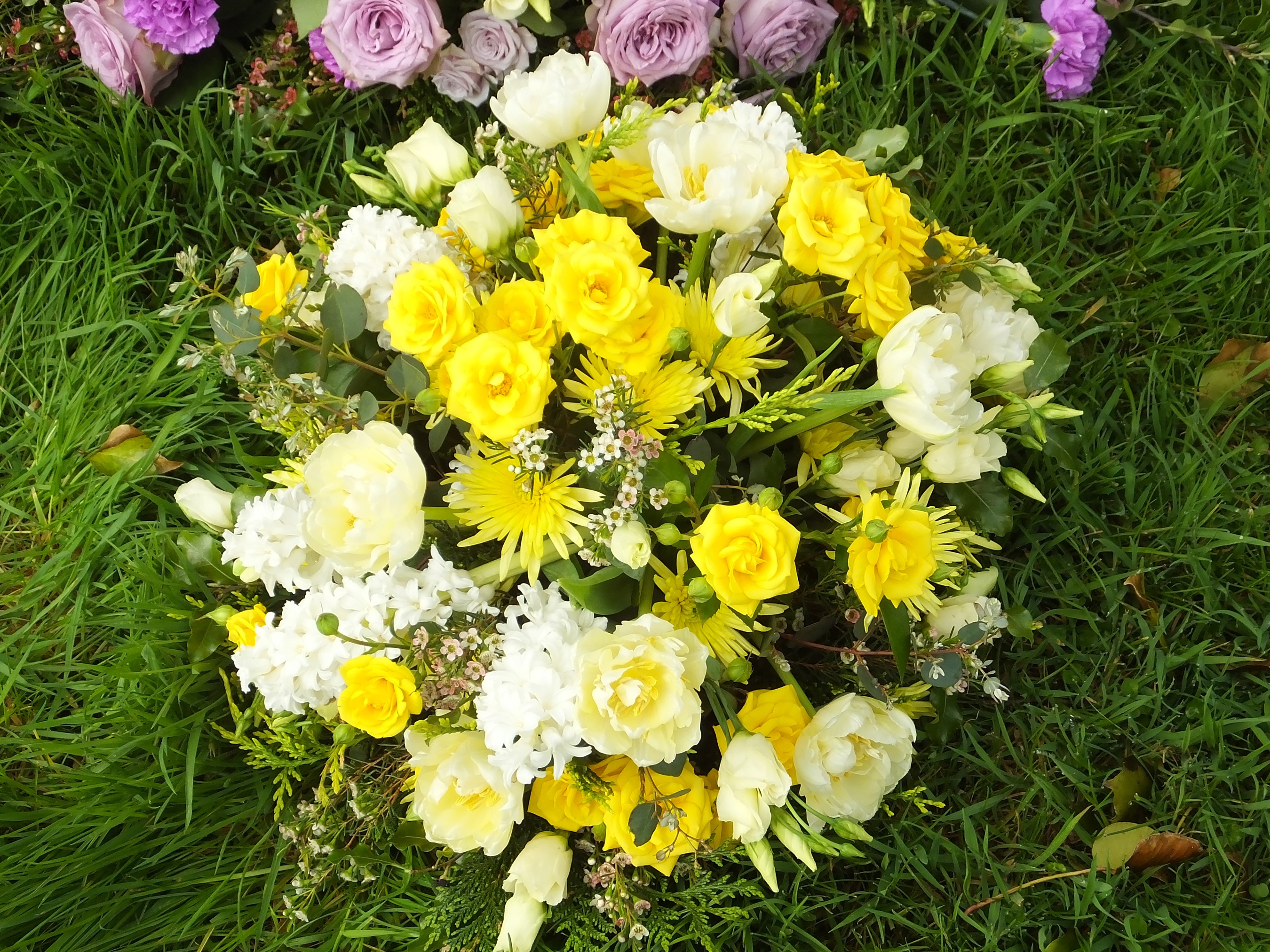 Yellow and white flower bouquet on grass HD Wallpaper