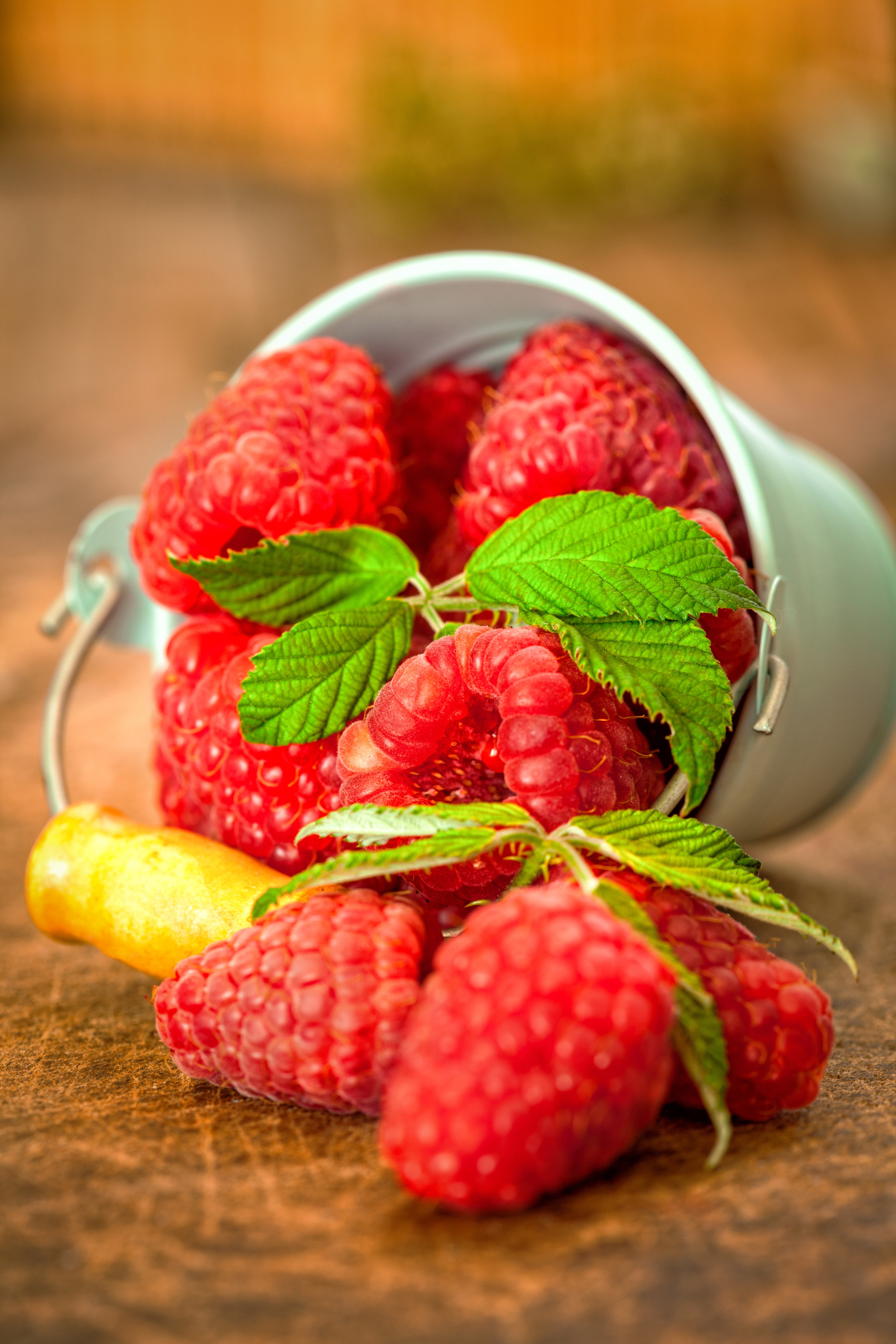 Raspberries spilling from a small bucket HD Phone Wallpaper