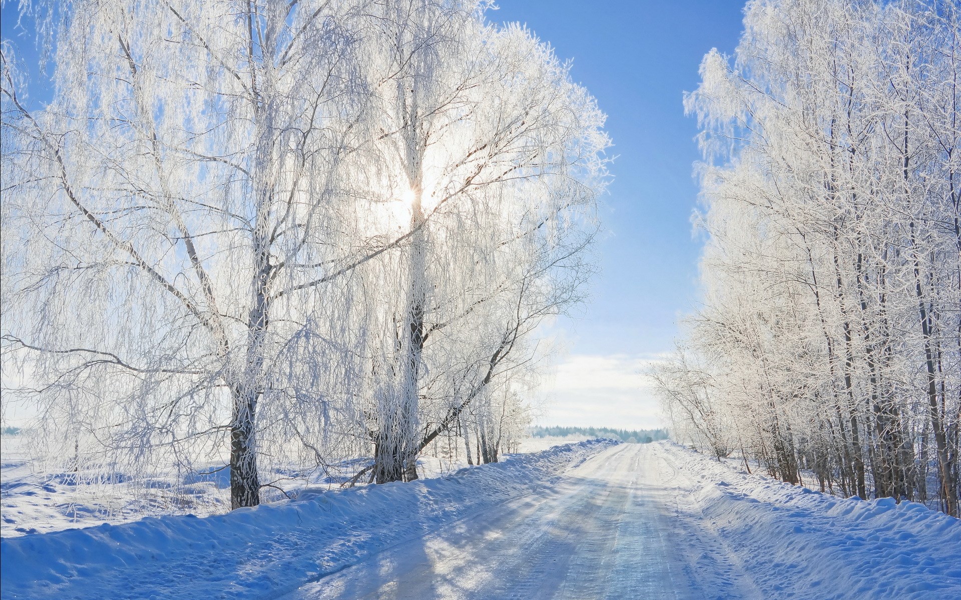 Snowy road lined with frost-covered trees under a blue sky HD Wallpaper