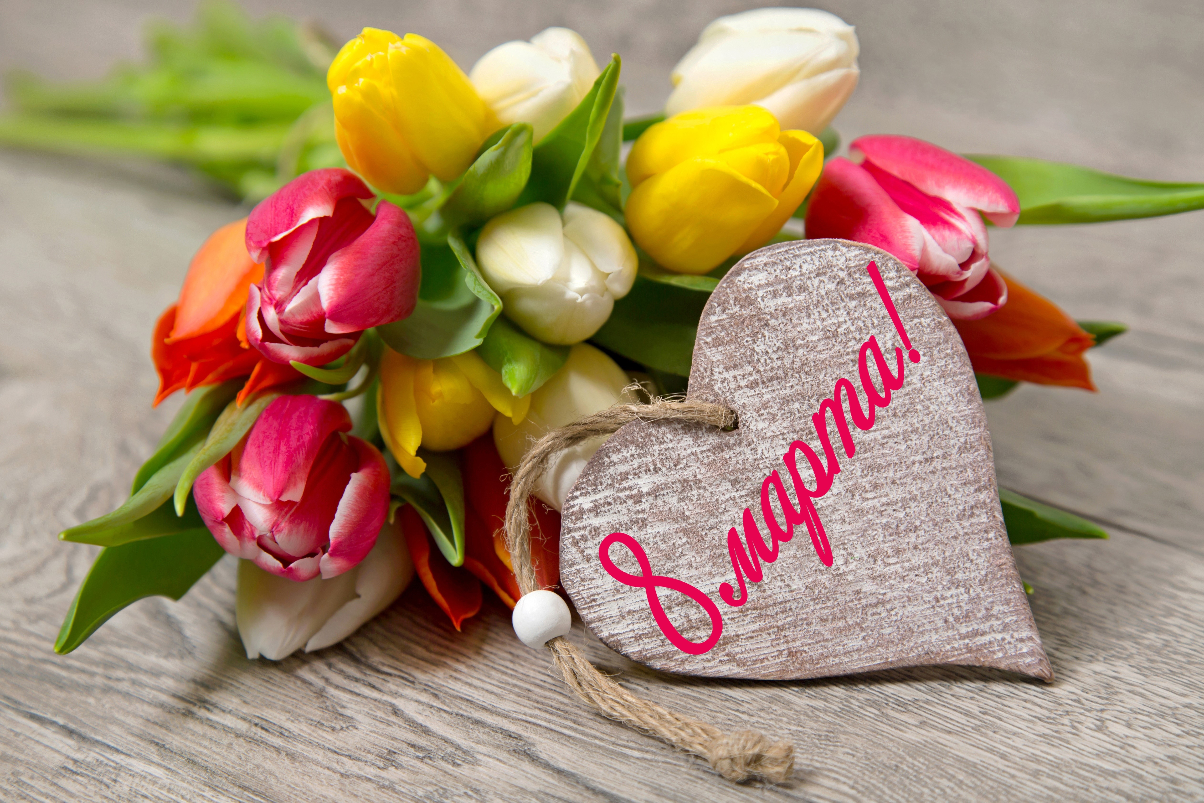 Tulips with a heart decoration for March 8 HD Wallpaper