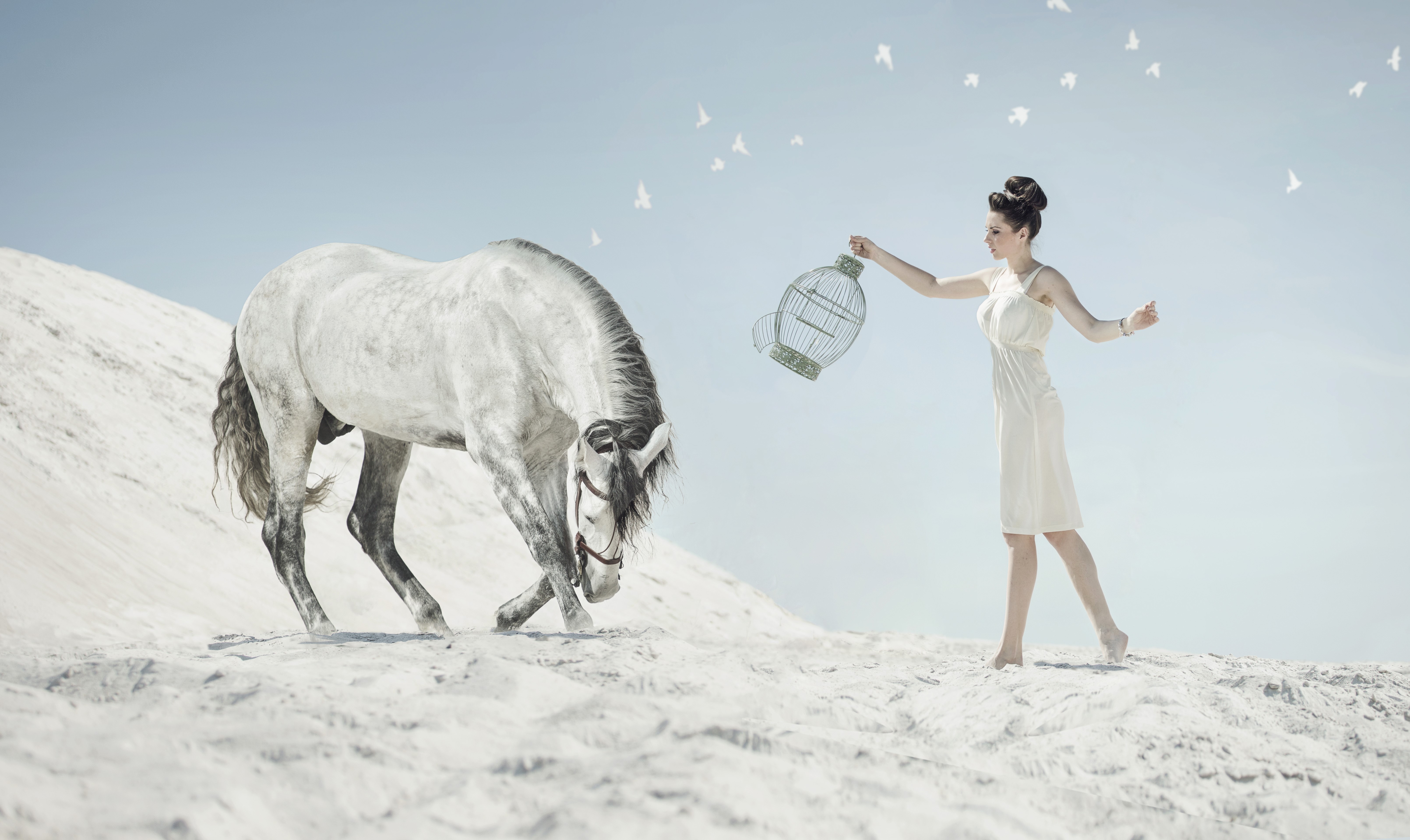 Woman releasing birds from a cage with a horse HD Wallpaper