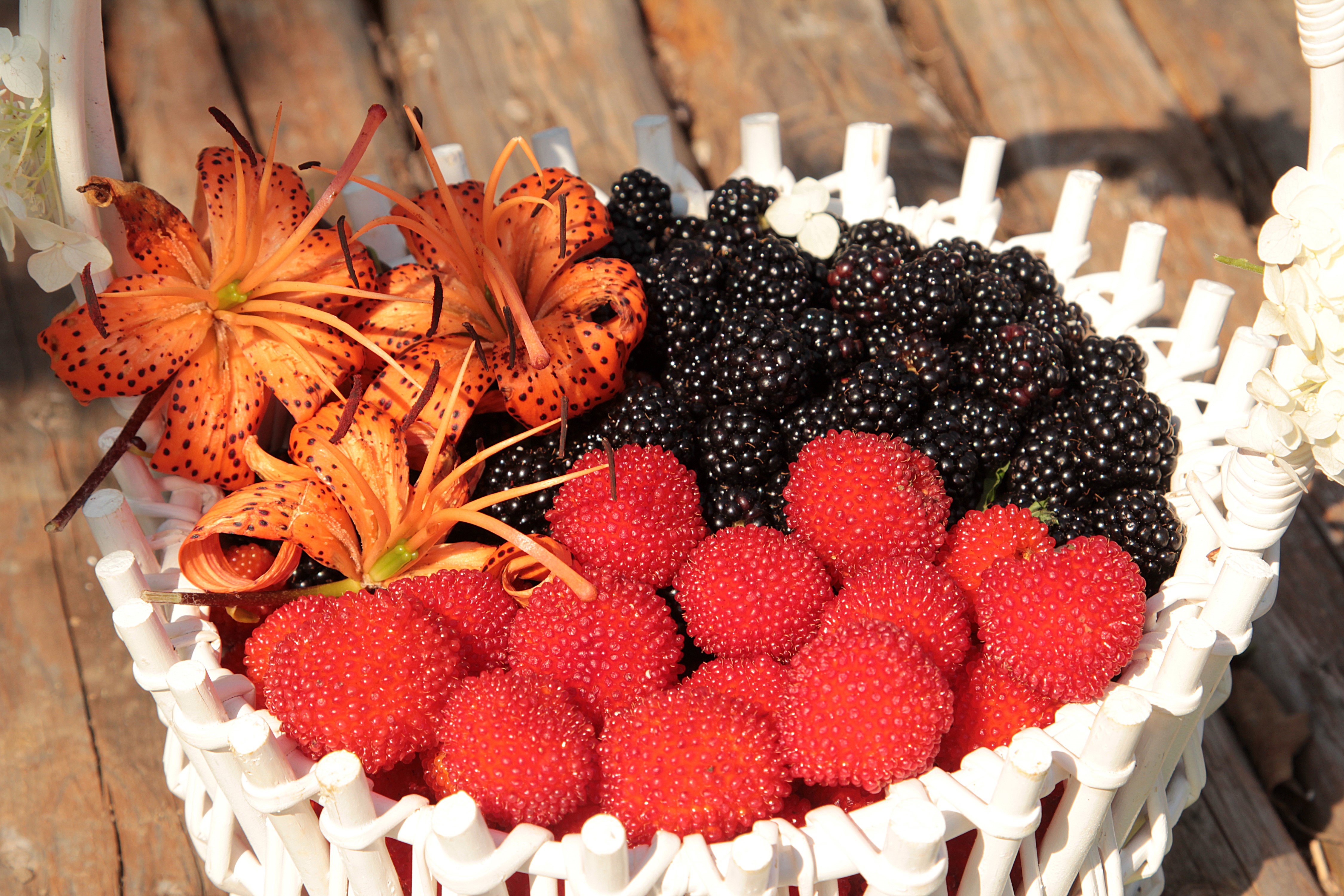 Basket of Blackberries, Raspberries, and Lilies HD Wallpaper