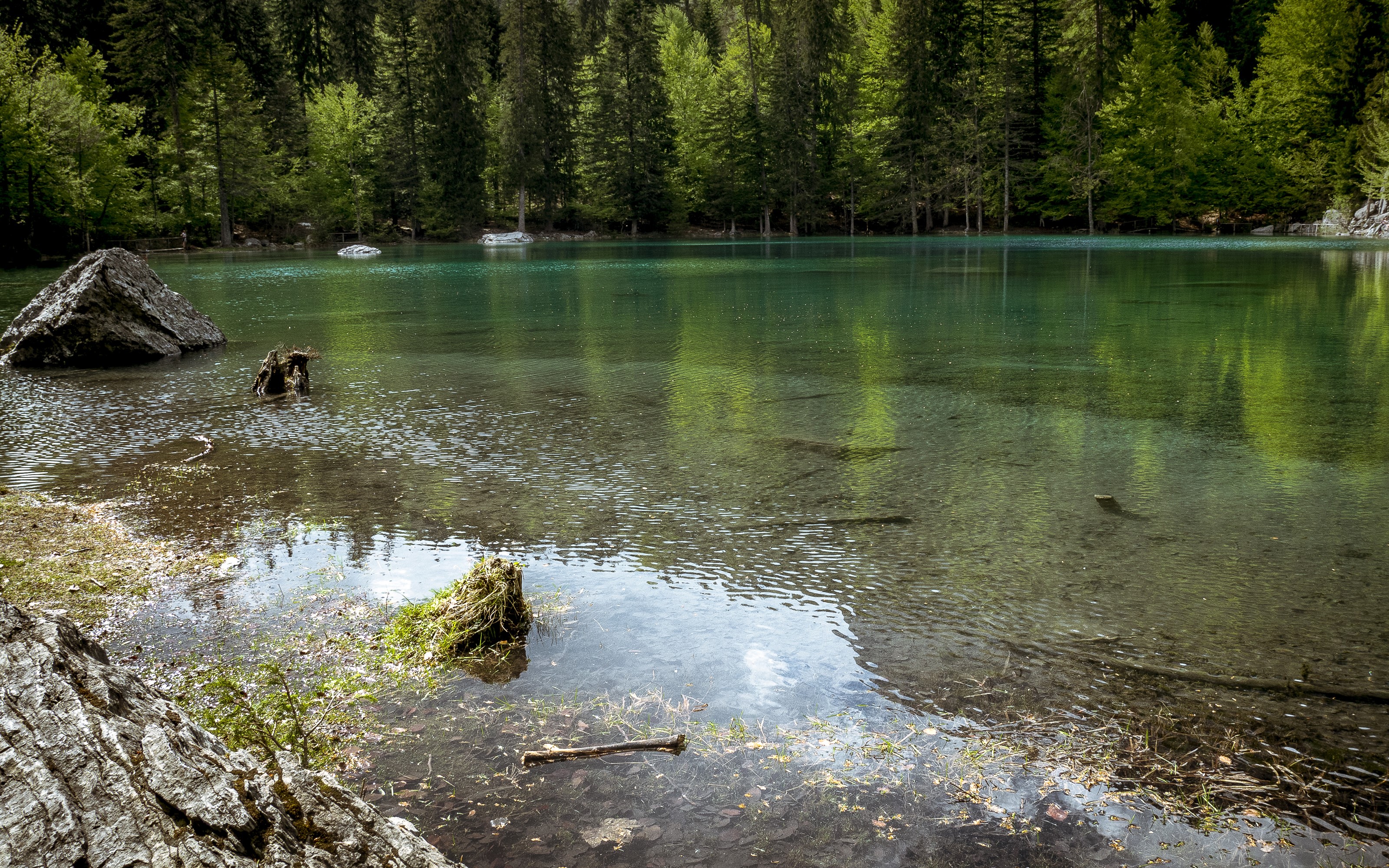 Lake Vert in France HD Wallpaper