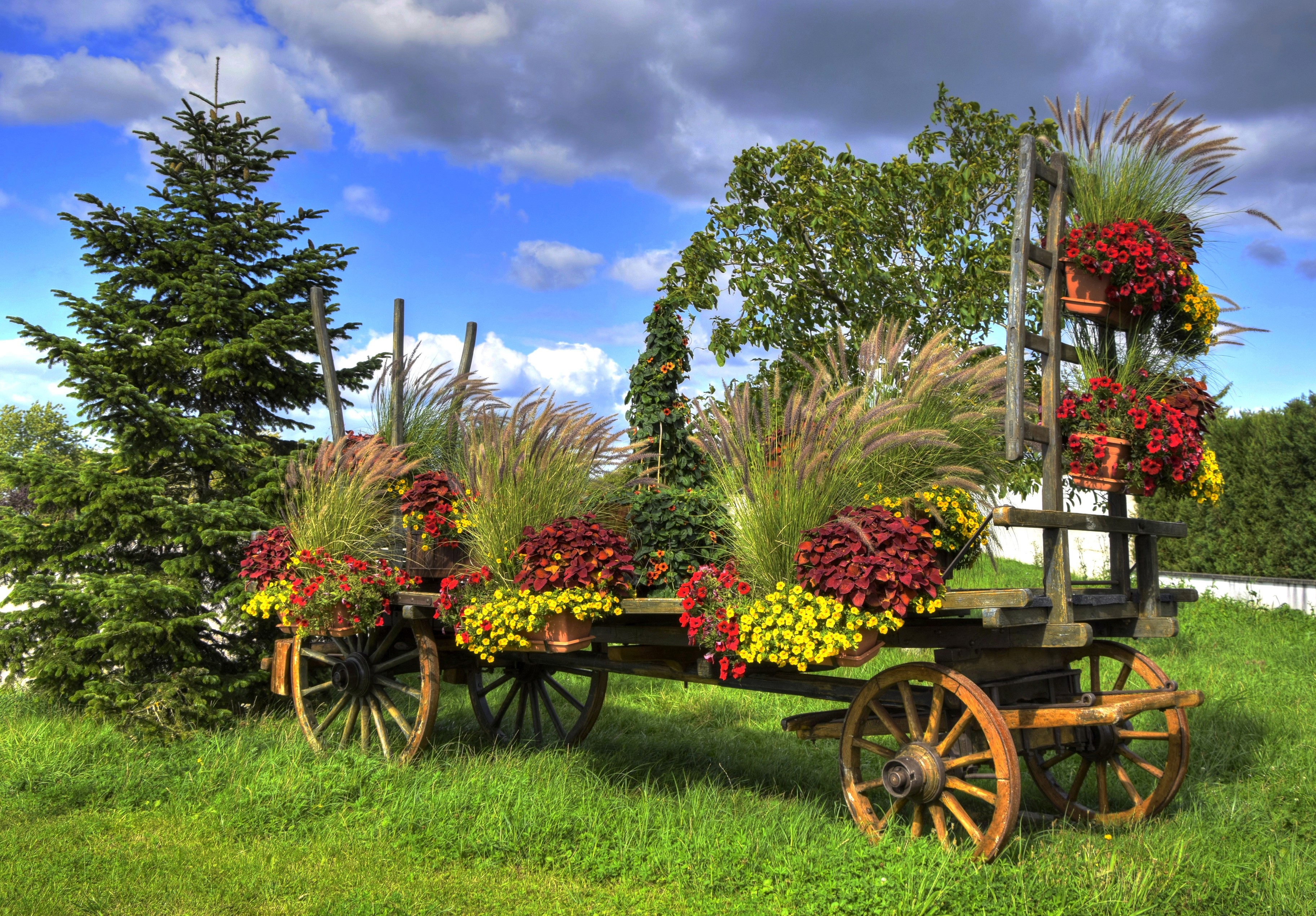 Decorated wooden wagon with flowers and grasses HD Wallpaper