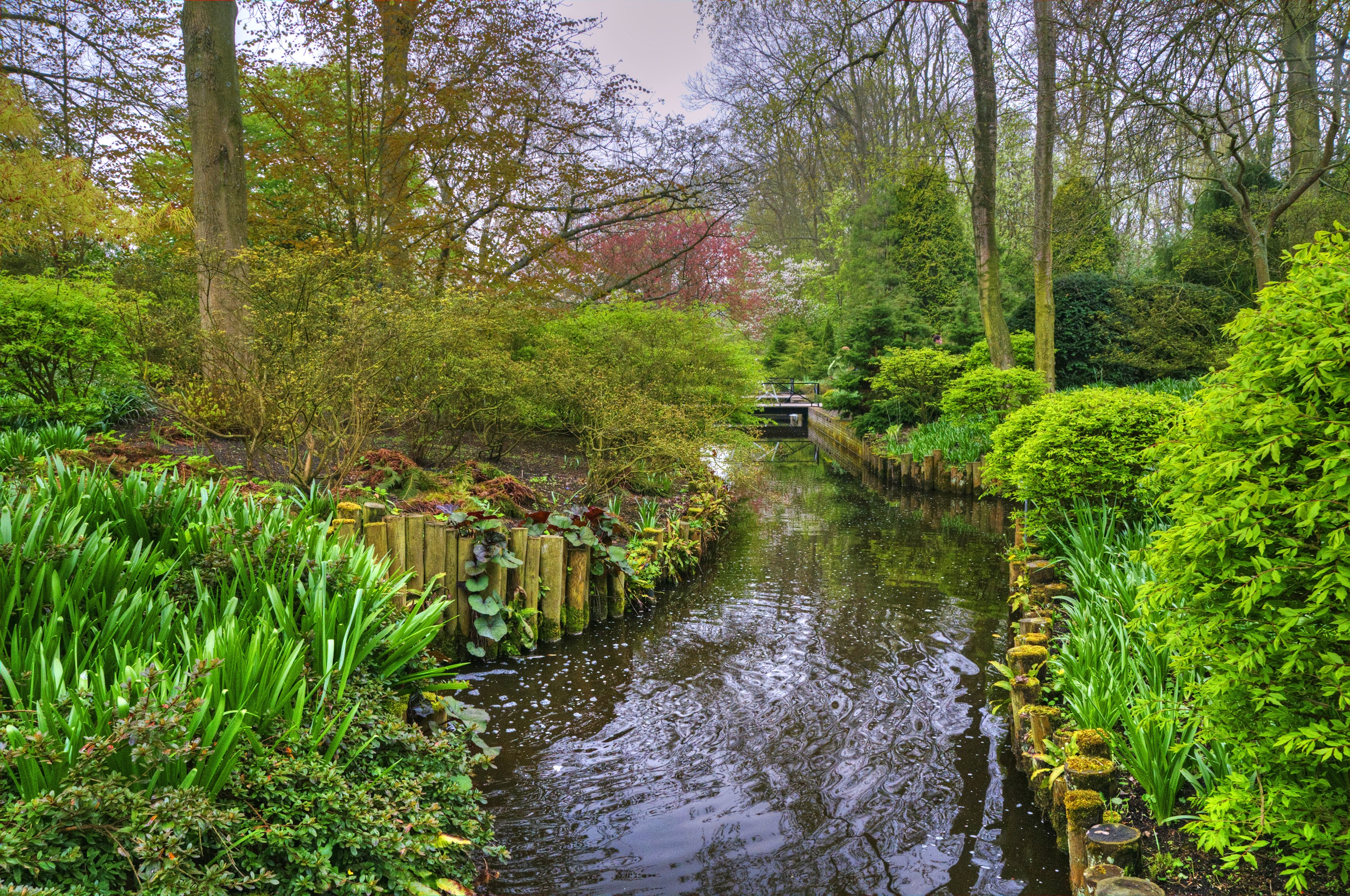 Canal in a park with trees and shrubs HD Wallpaper
