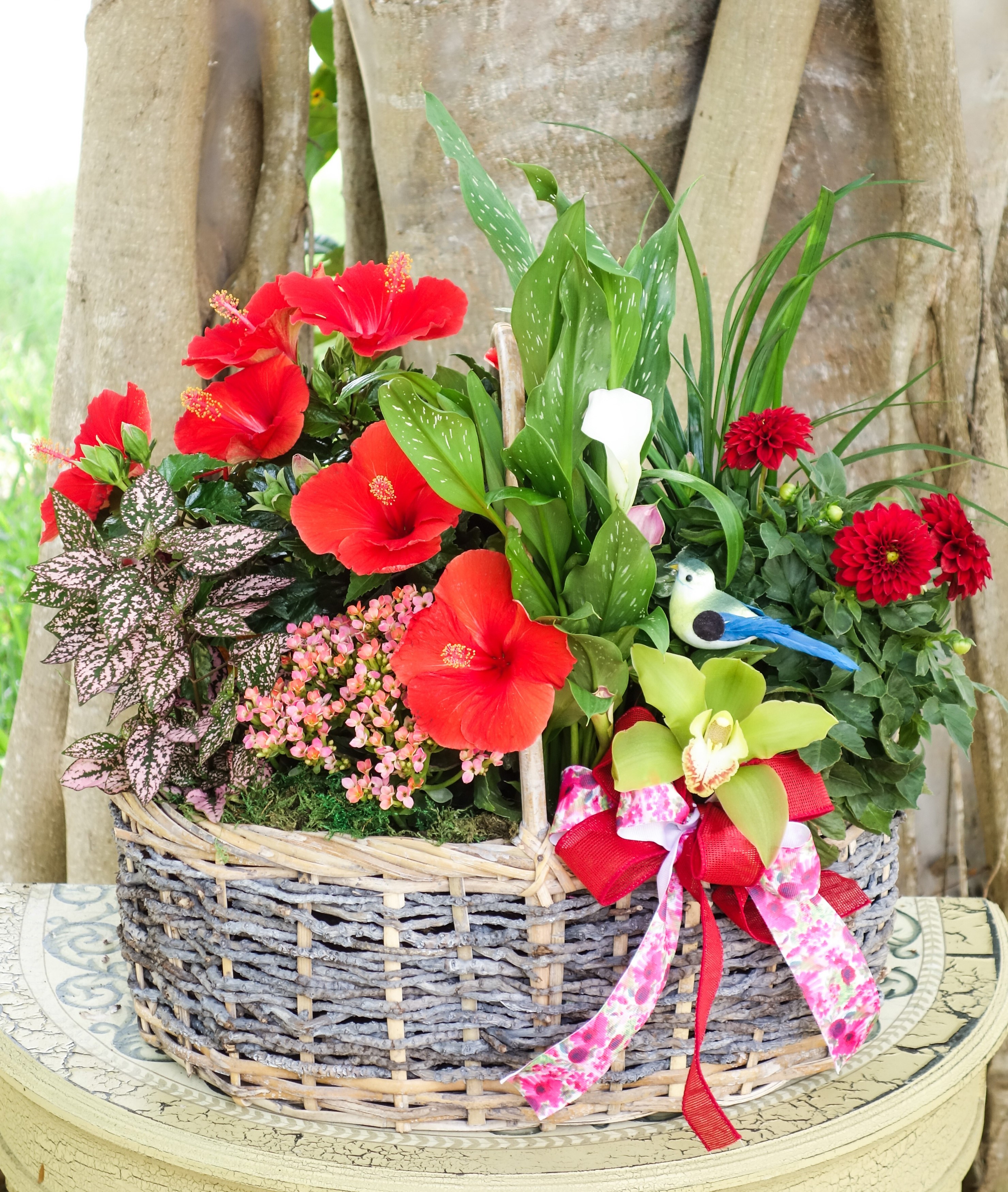 Flower basket with hibiscus, orchid, and bird decoration HD Wallpaper