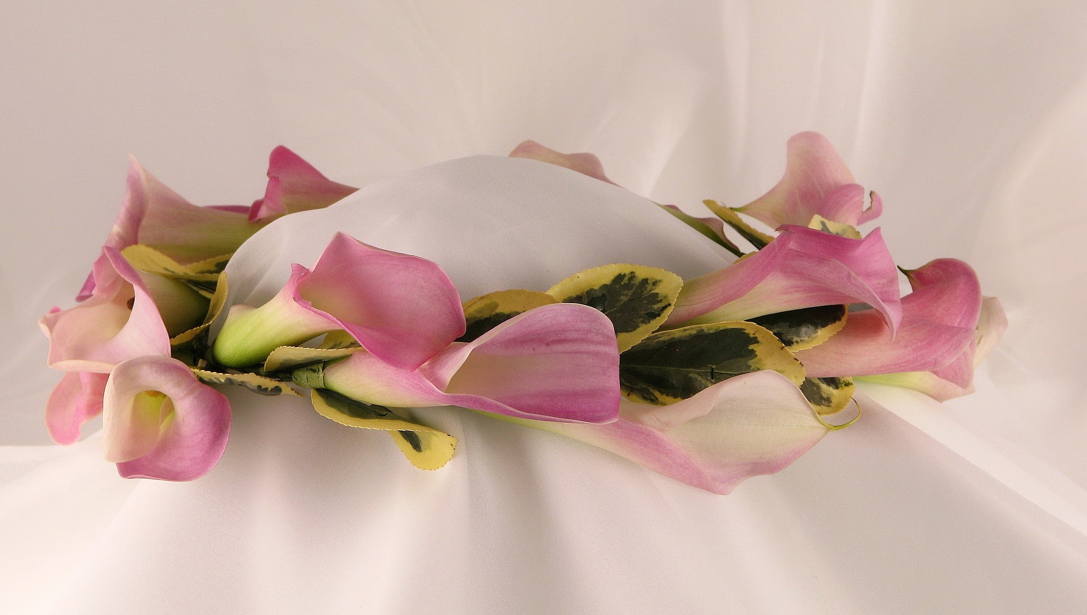 Pink and white calla lilies arranged around a white object HD Wallpaper