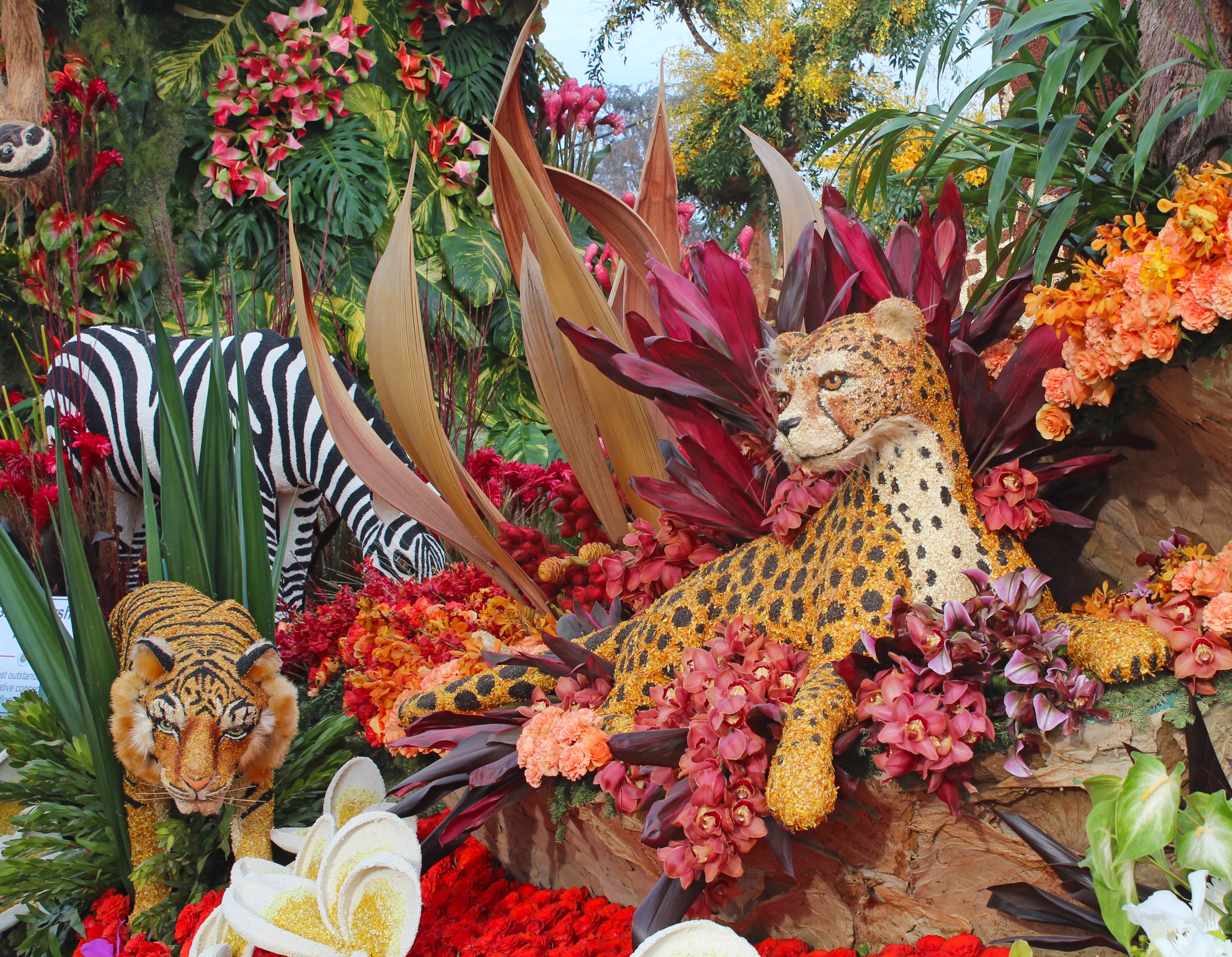 Floral display of jungle animals and flowers HD Wallpaper