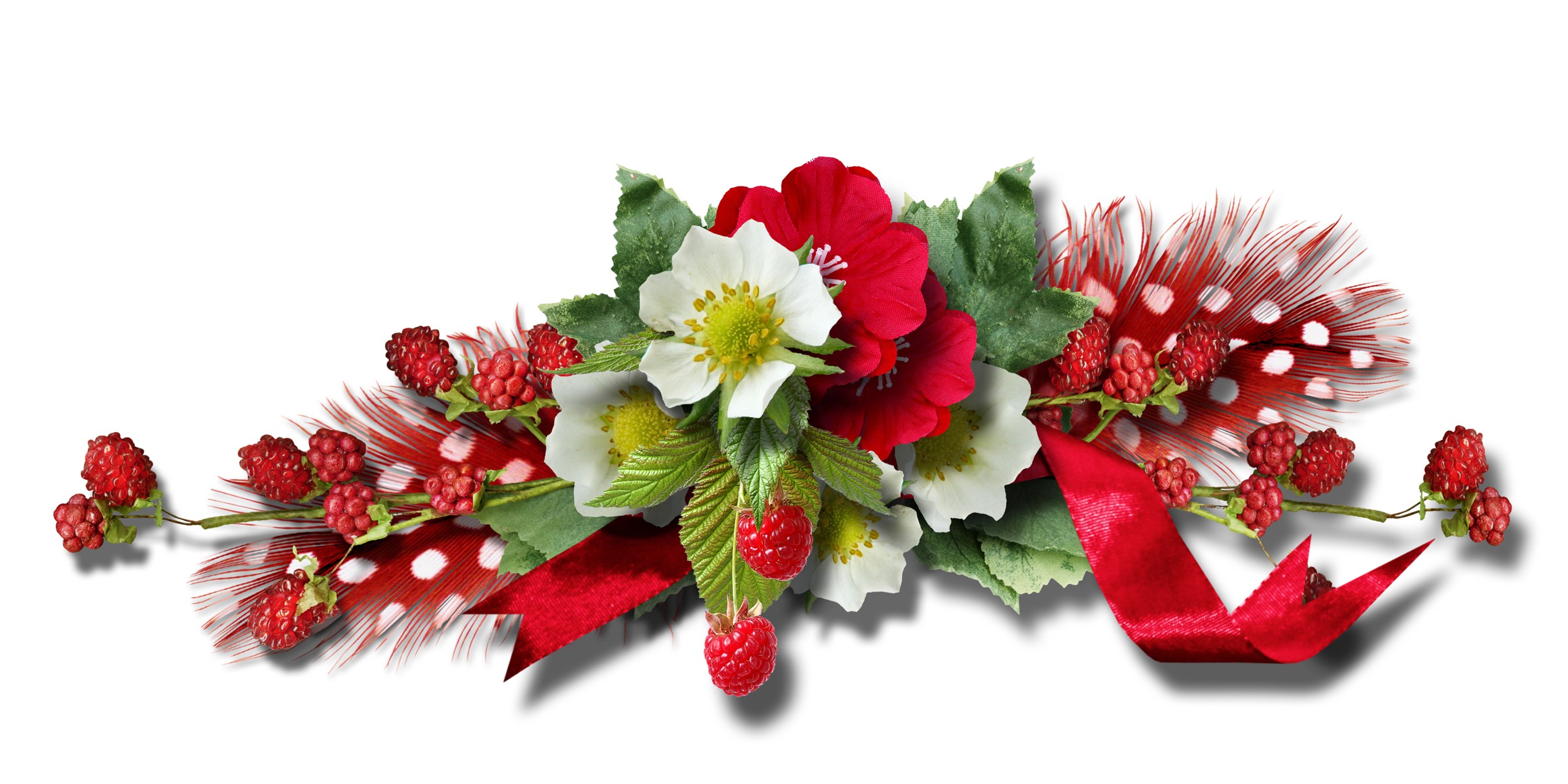 Floral arrangement with raspberries, feathers, and ribbon HD Wallpaper