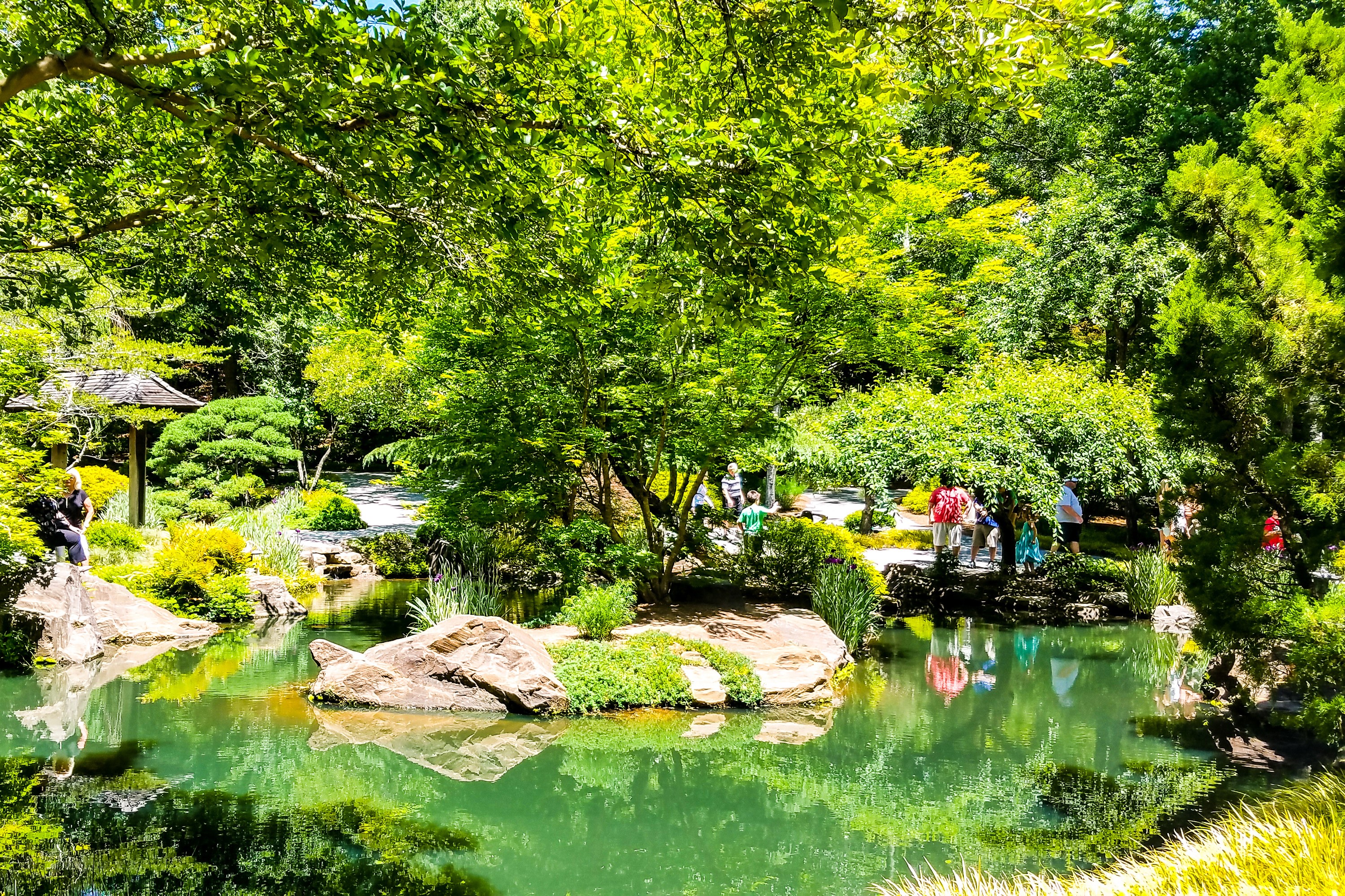 Gibbs Gardens pond with people and trees HD Wallpaper