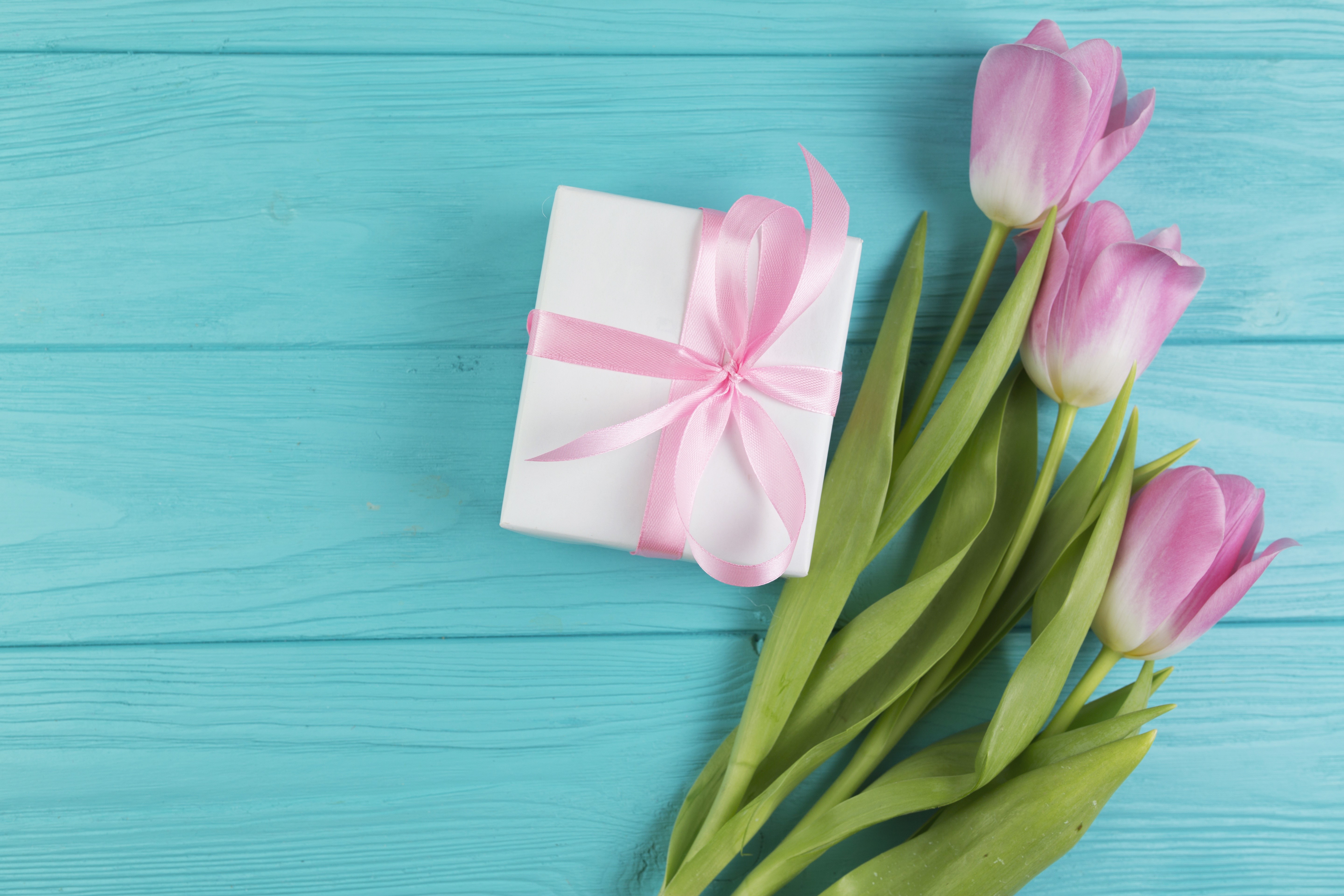 Pink Tulips and Gift Box on Blue Wooden Background HD Wallpaper