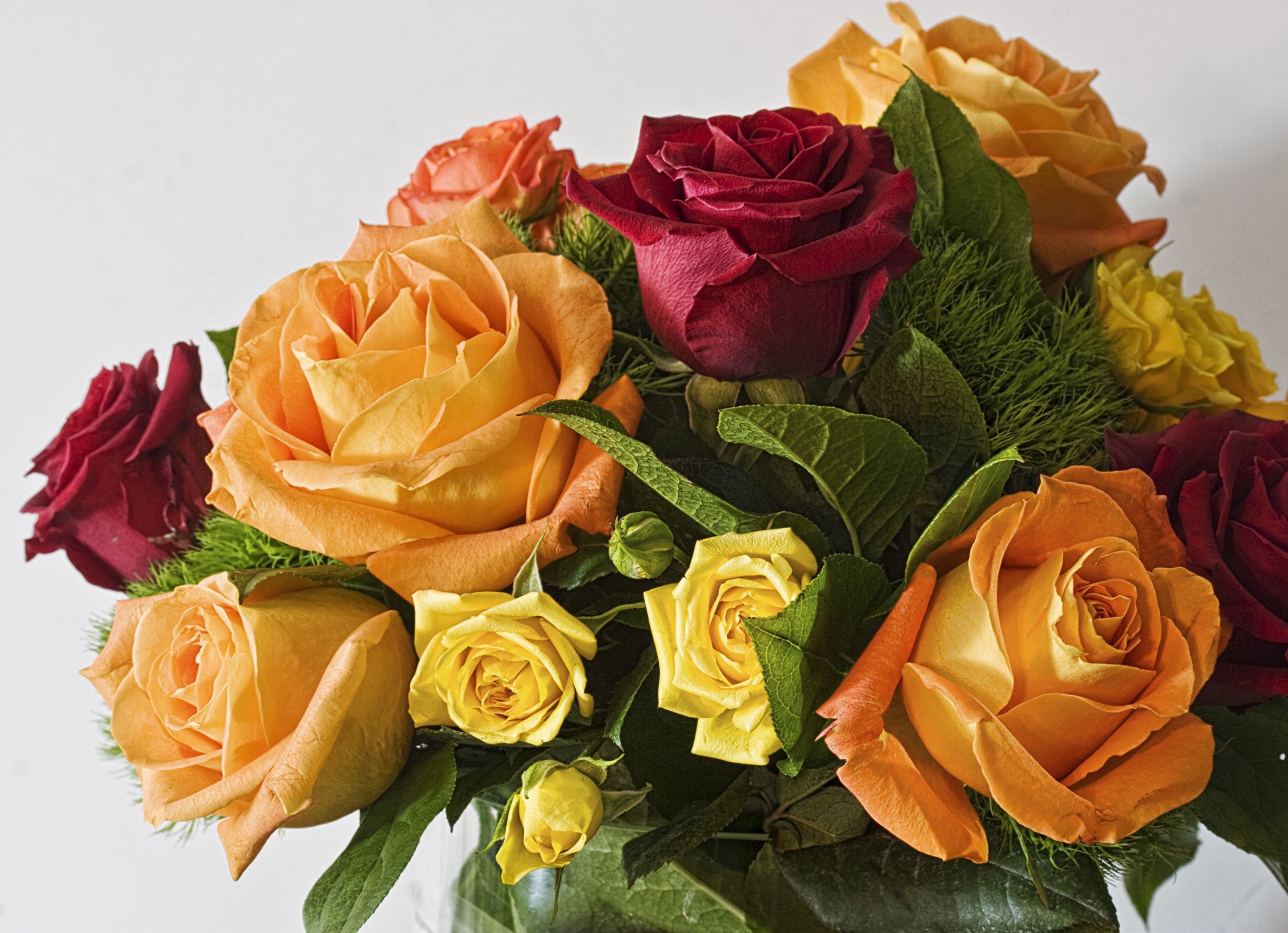 Bouquet of Roses in Various Colors HD Wallpaper