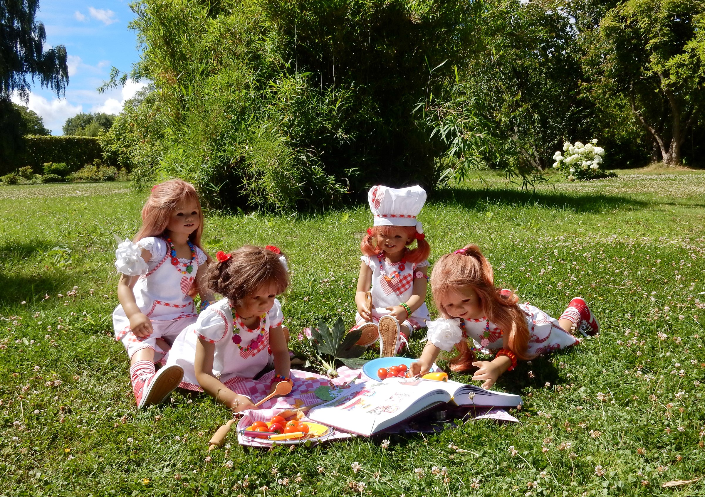 Four dolls having a picnic and reading a book in a park HD Wallpaper