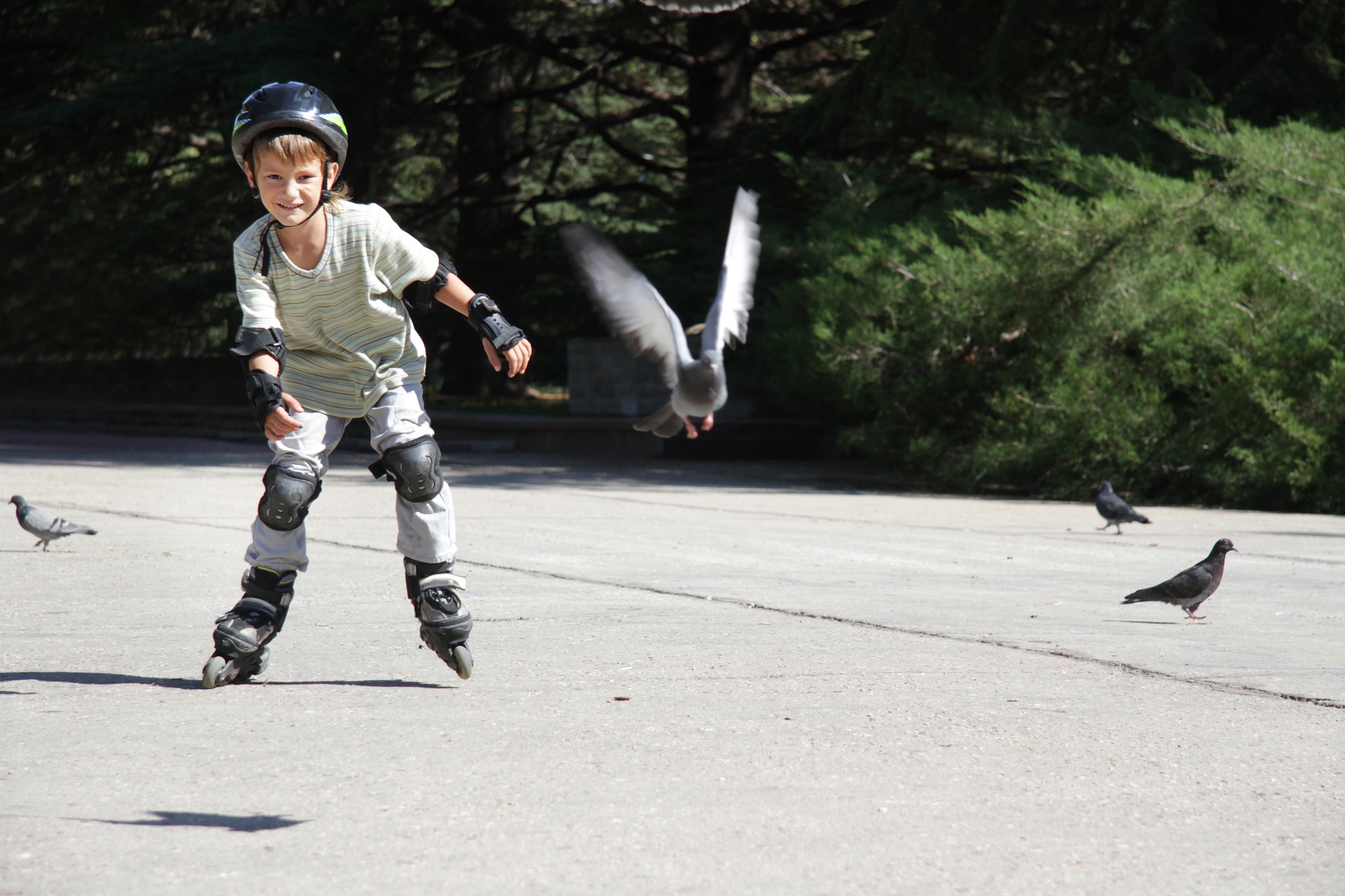 Boy on roller skates with pigeons HD Wallpaper
