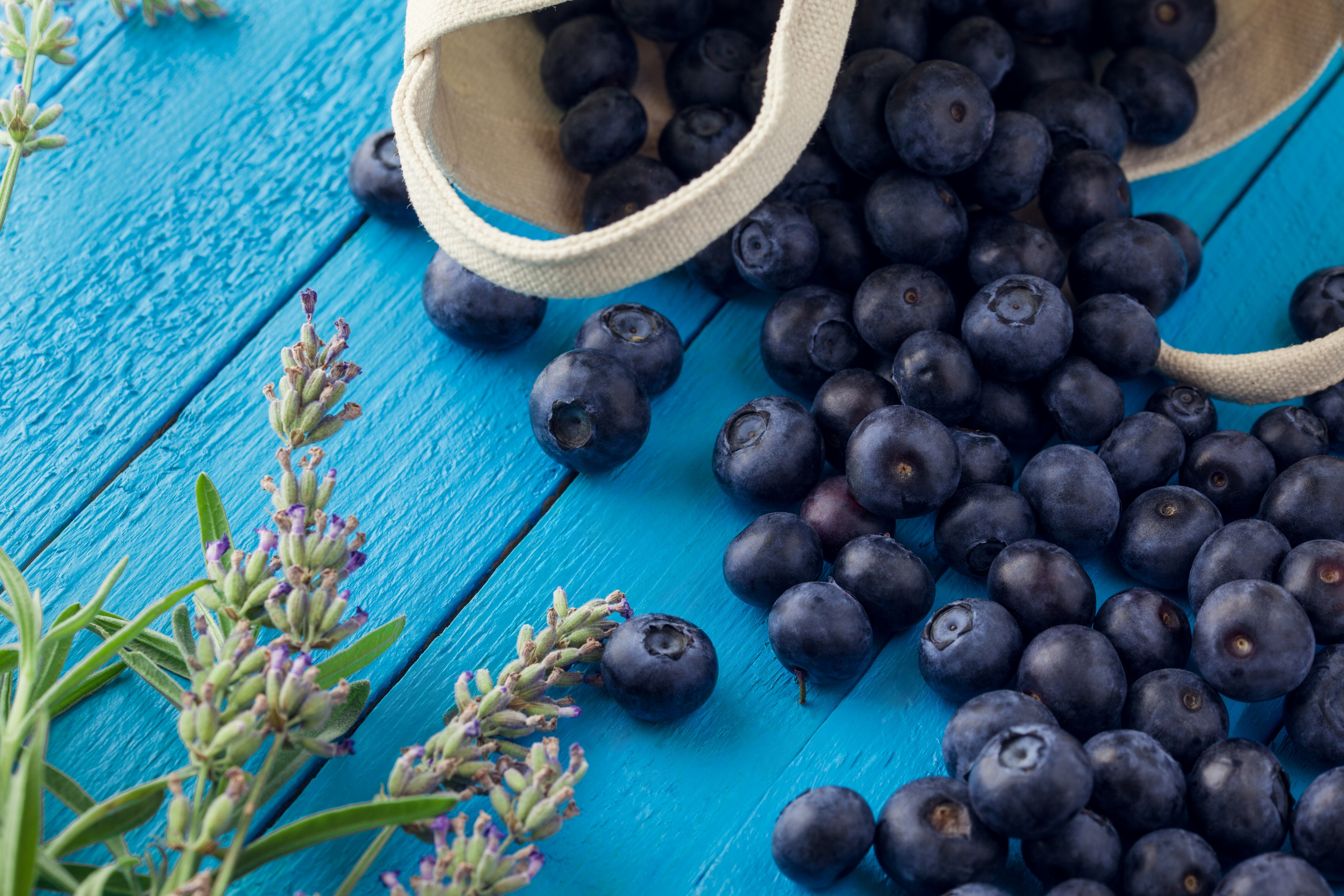 Blueberries and lavender on blue wooden planks HD Wallpaper