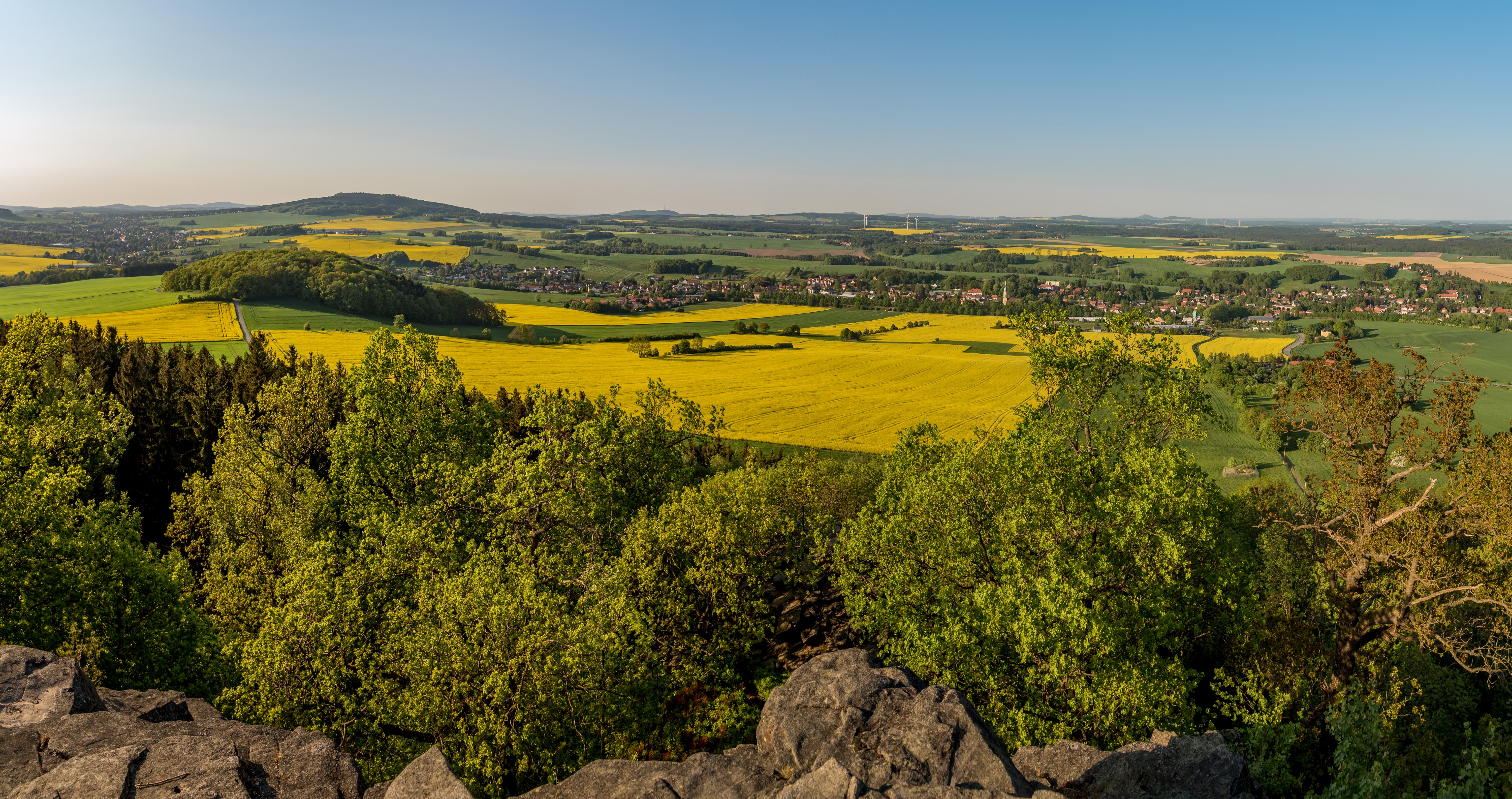Panoramic view of Saxony Oberlausitz, Germany with rapeseed fields HD Wallpaper