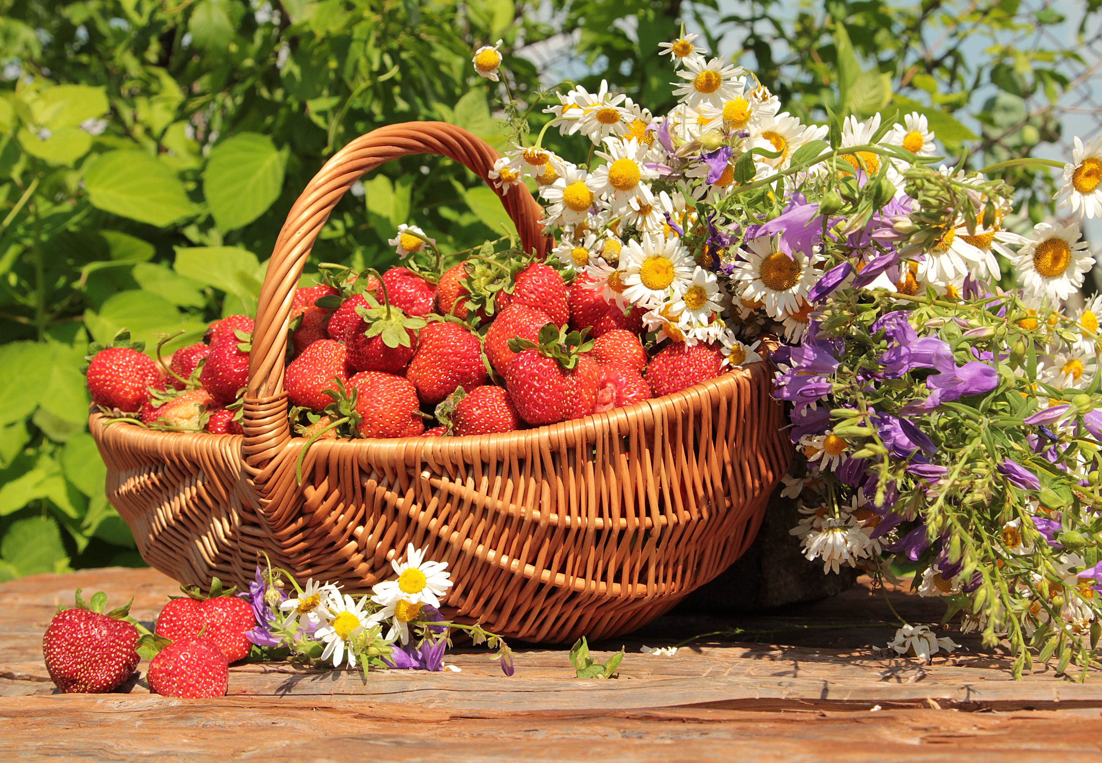 4K Wicker basket of strawberries with wildflowers HD Wallpaper