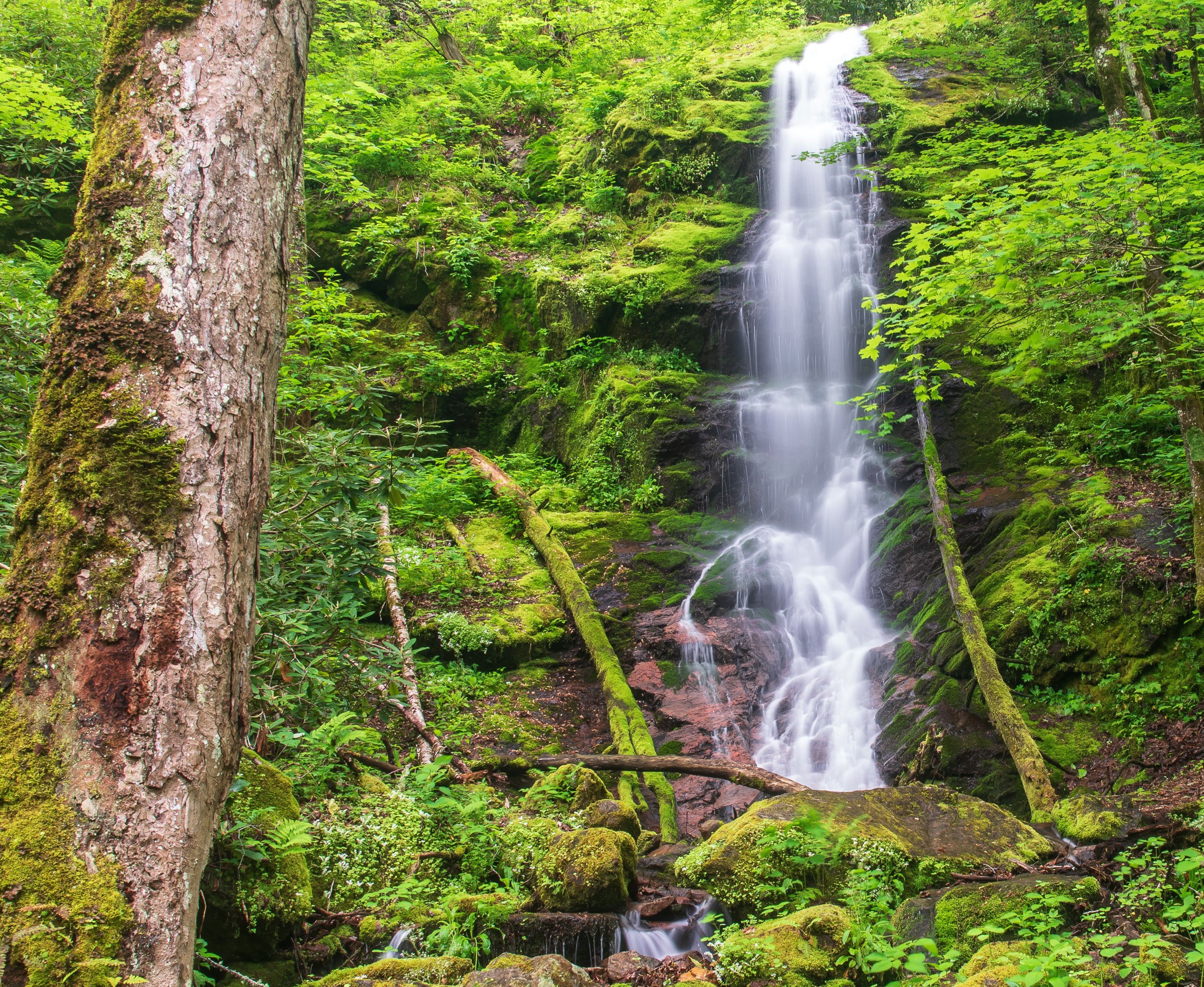 Waterfall in Great Smoky Mountains National Park HD Wallpaper