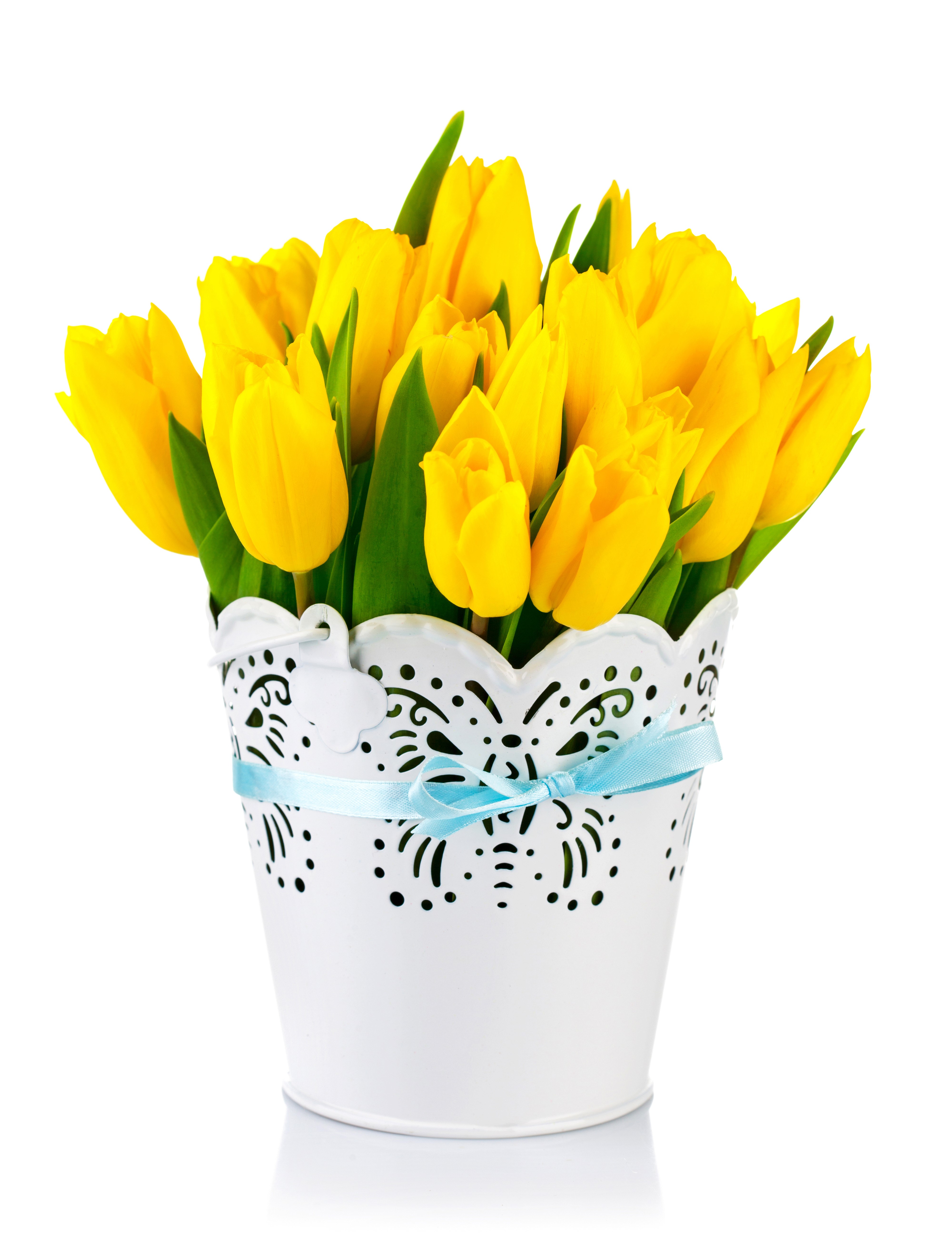 Yellow Tulips in a White Pot HD Phone Wallpaper