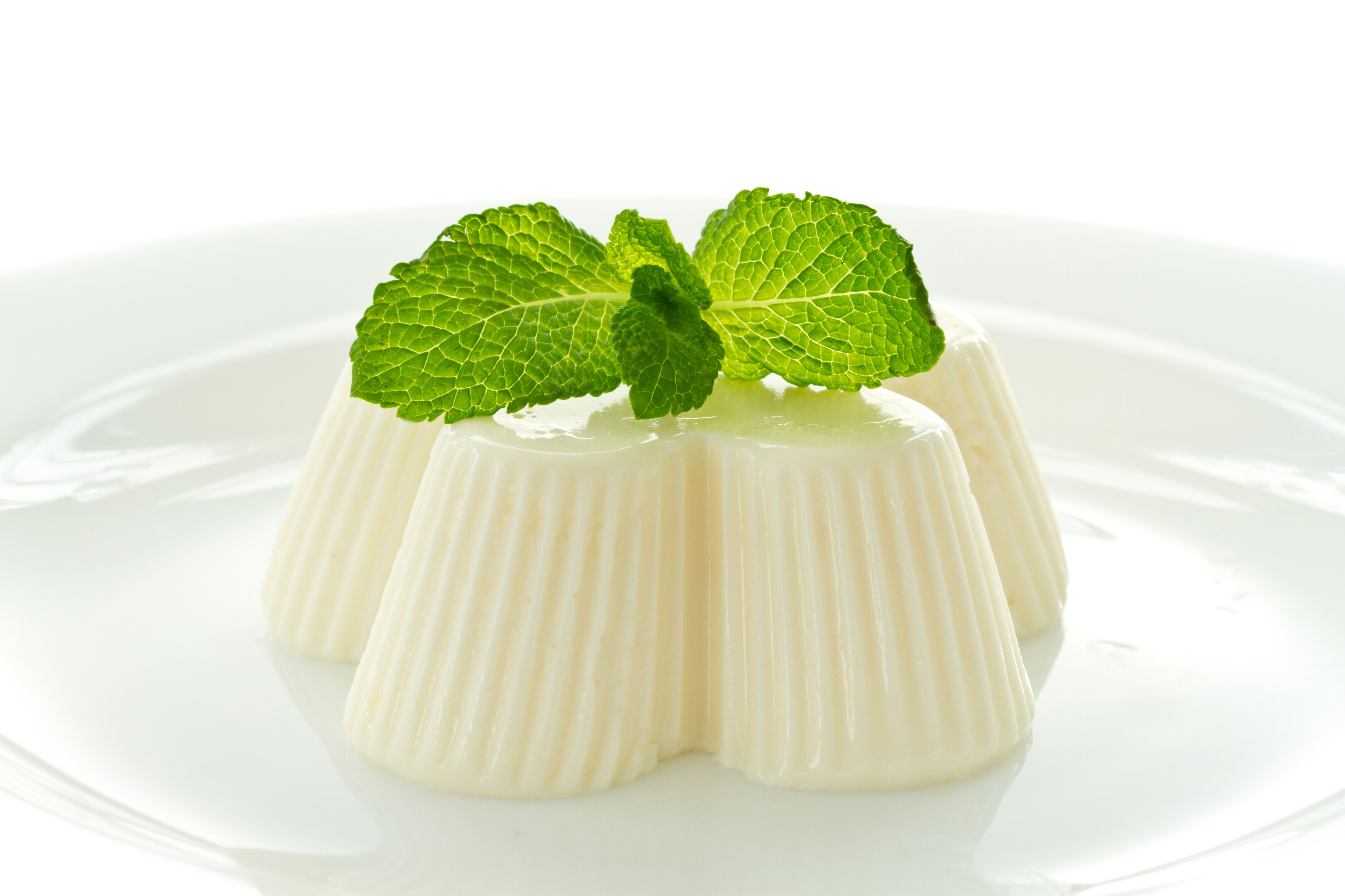 White gelatin desserts with mint on a plate HD Wallpaper