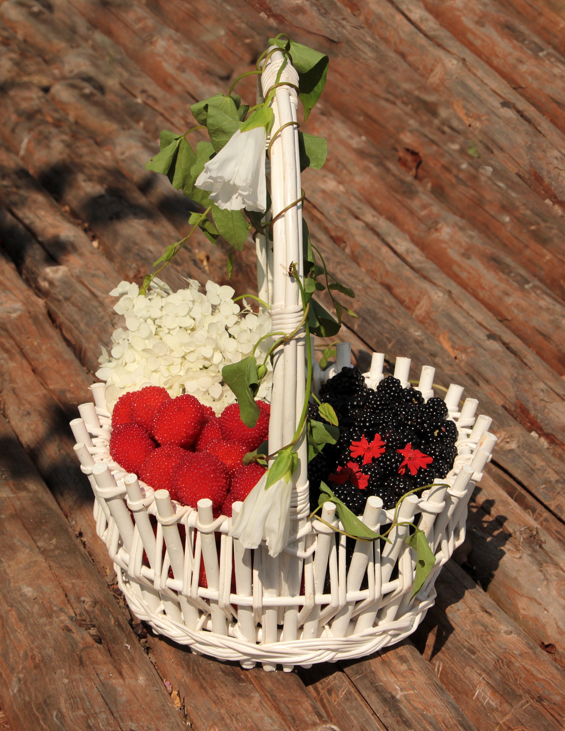 Wicker basket with raspberries, blackberries, and flowers HD Phone Wallpaper