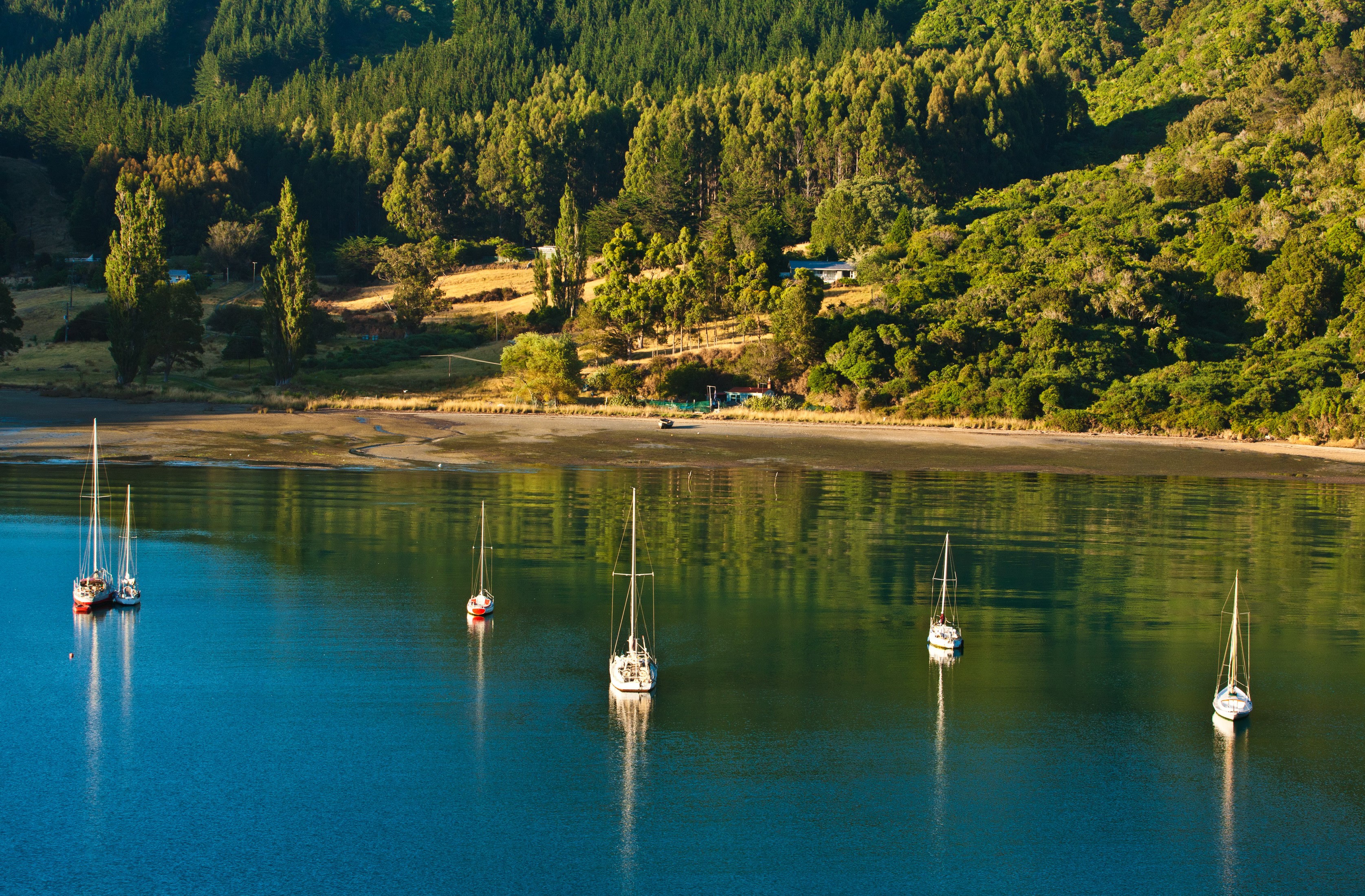Sailboats in a bay near Picton, New Zealand HD Wallpaper