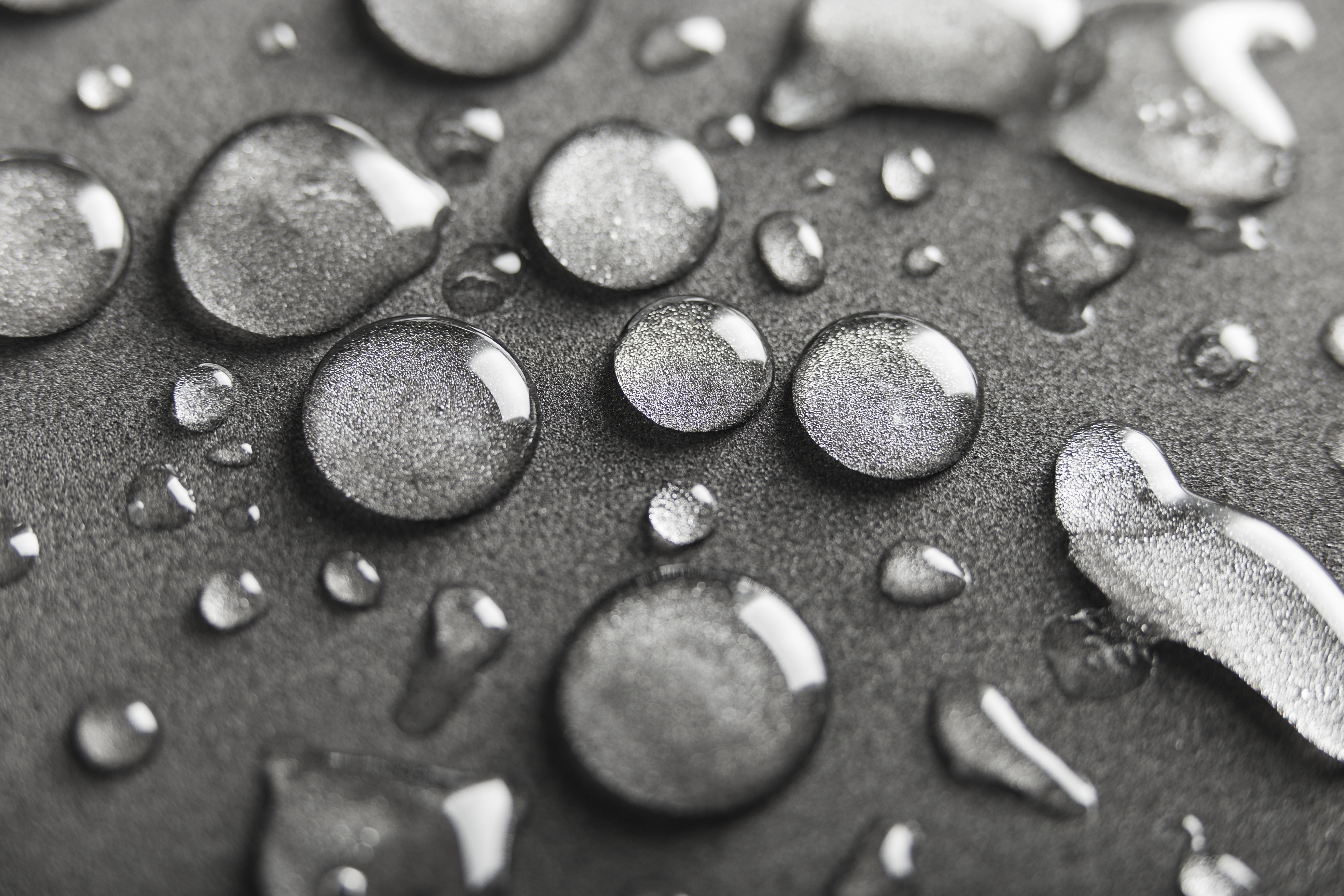 Black and white water drops closeup HD Wallpaper