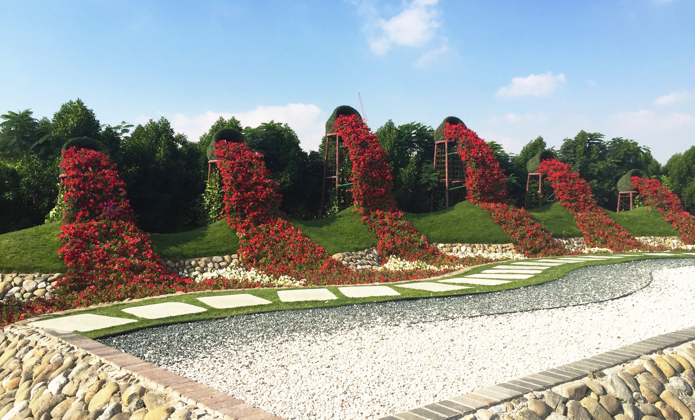 Miracle Garden Dubai Flower Display HD Wallpaper