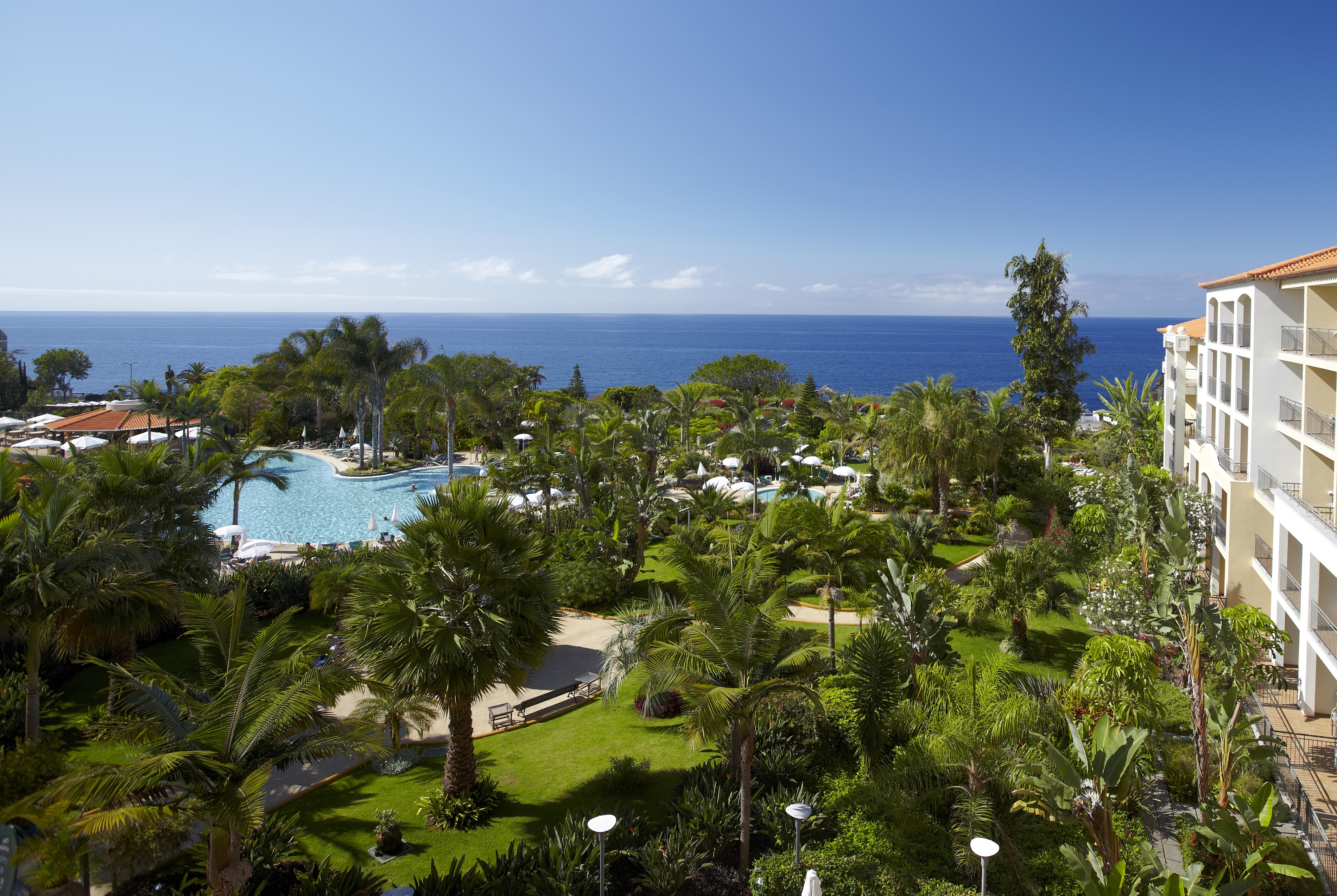Resort with pool and palm trees overlooking the ocean in Madeira, Portugal HD Wallpaper