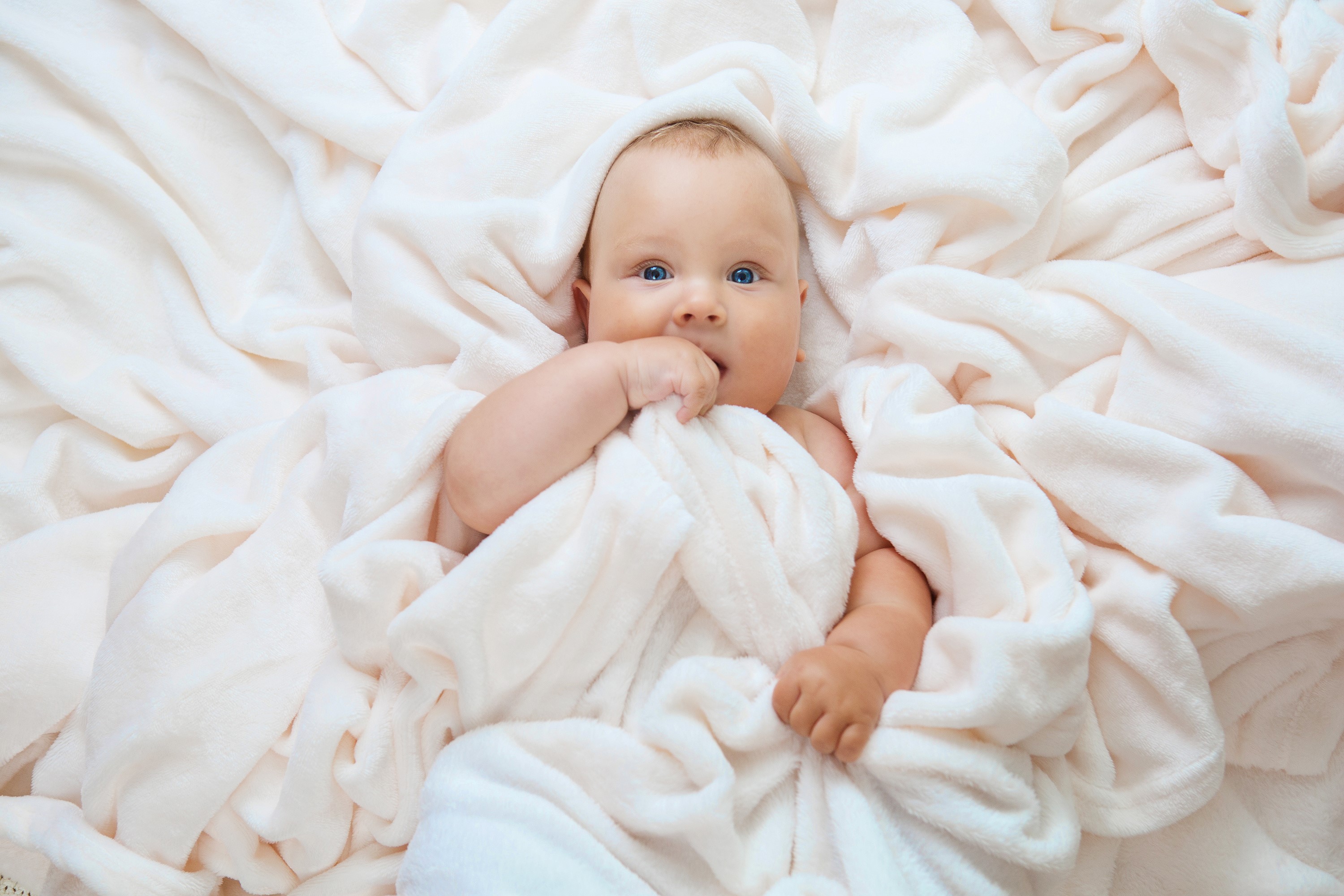 Baby wrapped in a soft blanket HD Wallpaper