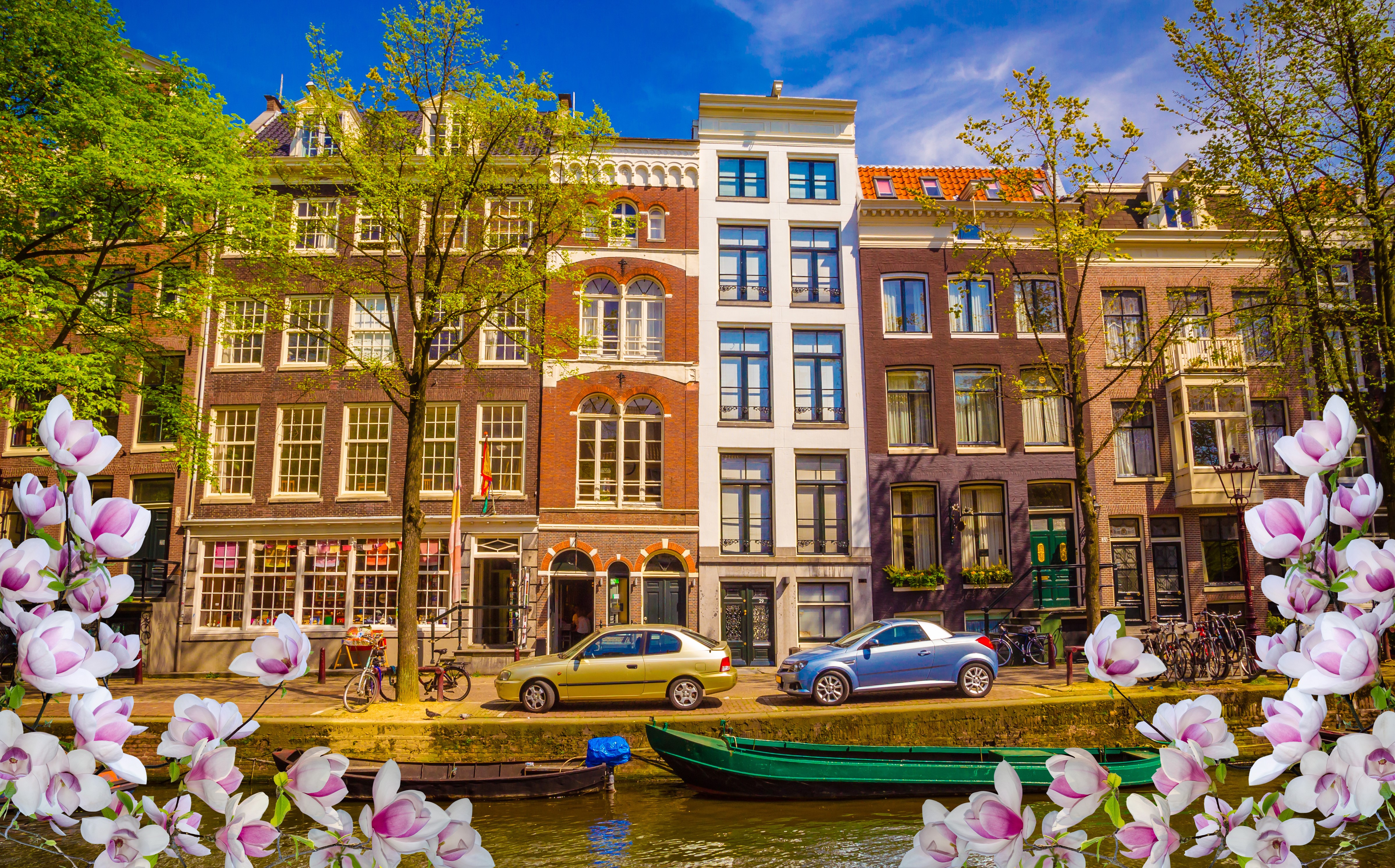 Amsterdam canal with houses and flowering trees HD Wallpaper