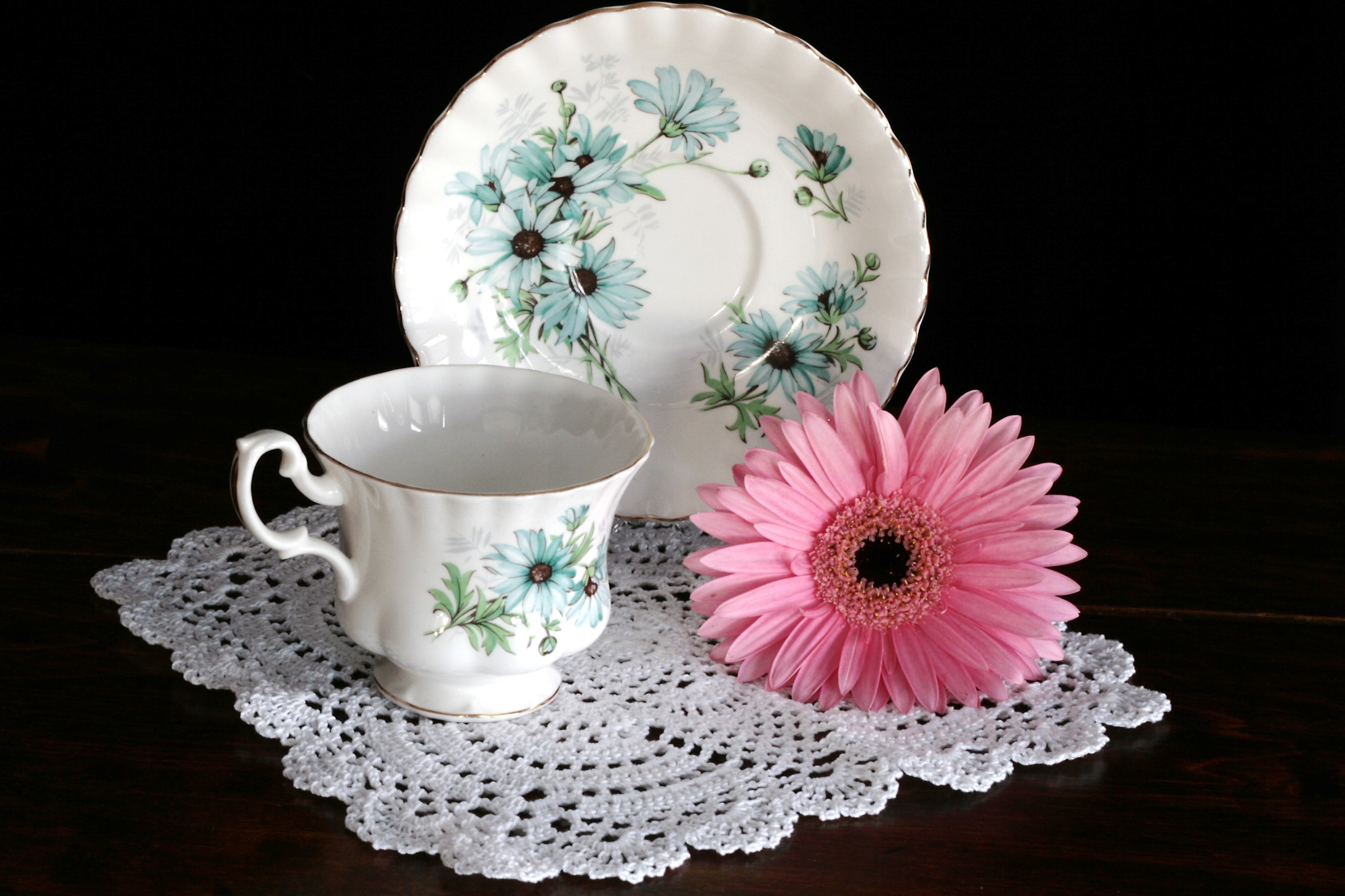 Teacup and saucer with pink gerbera daisy HD Wallpaper