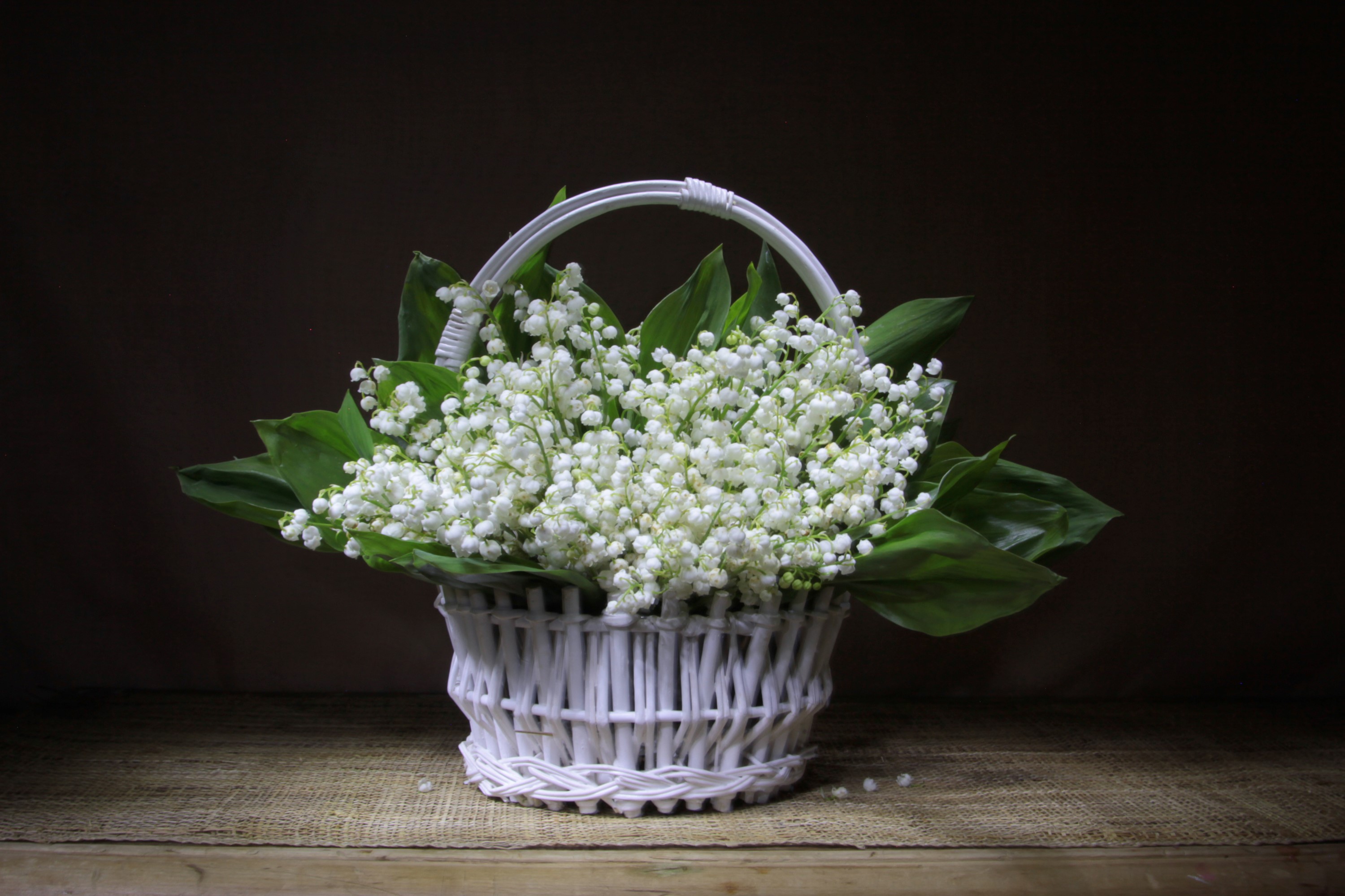 Basket of white lilies of the valley HD Wallpaper
