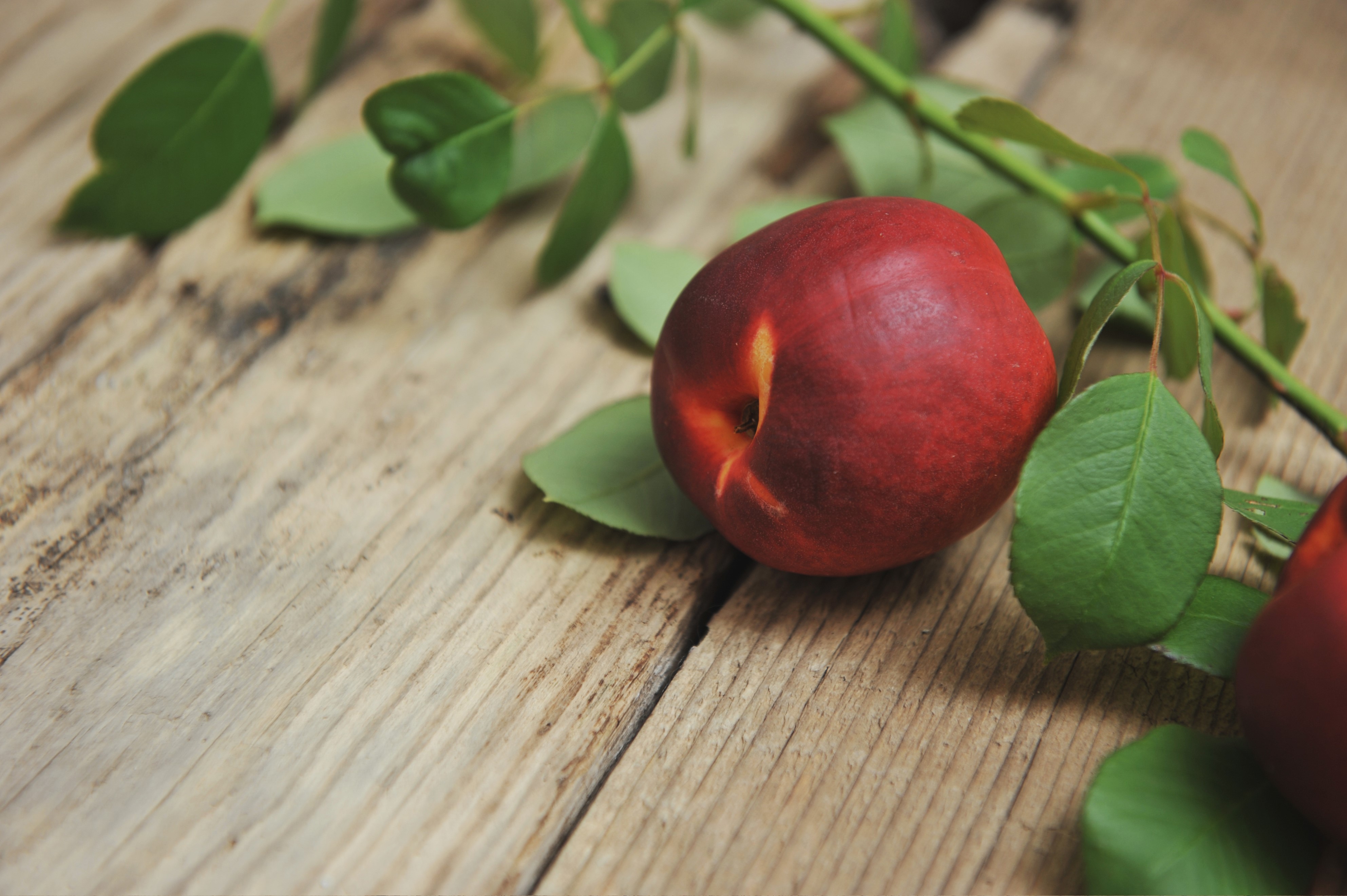Peaches and rose branch on wood planks HD Wallpaper