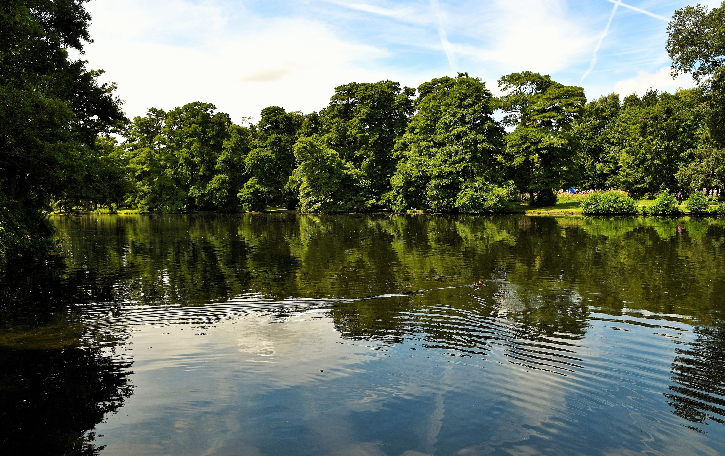 Boultham Park, Lincoln, England HD Wallpaper