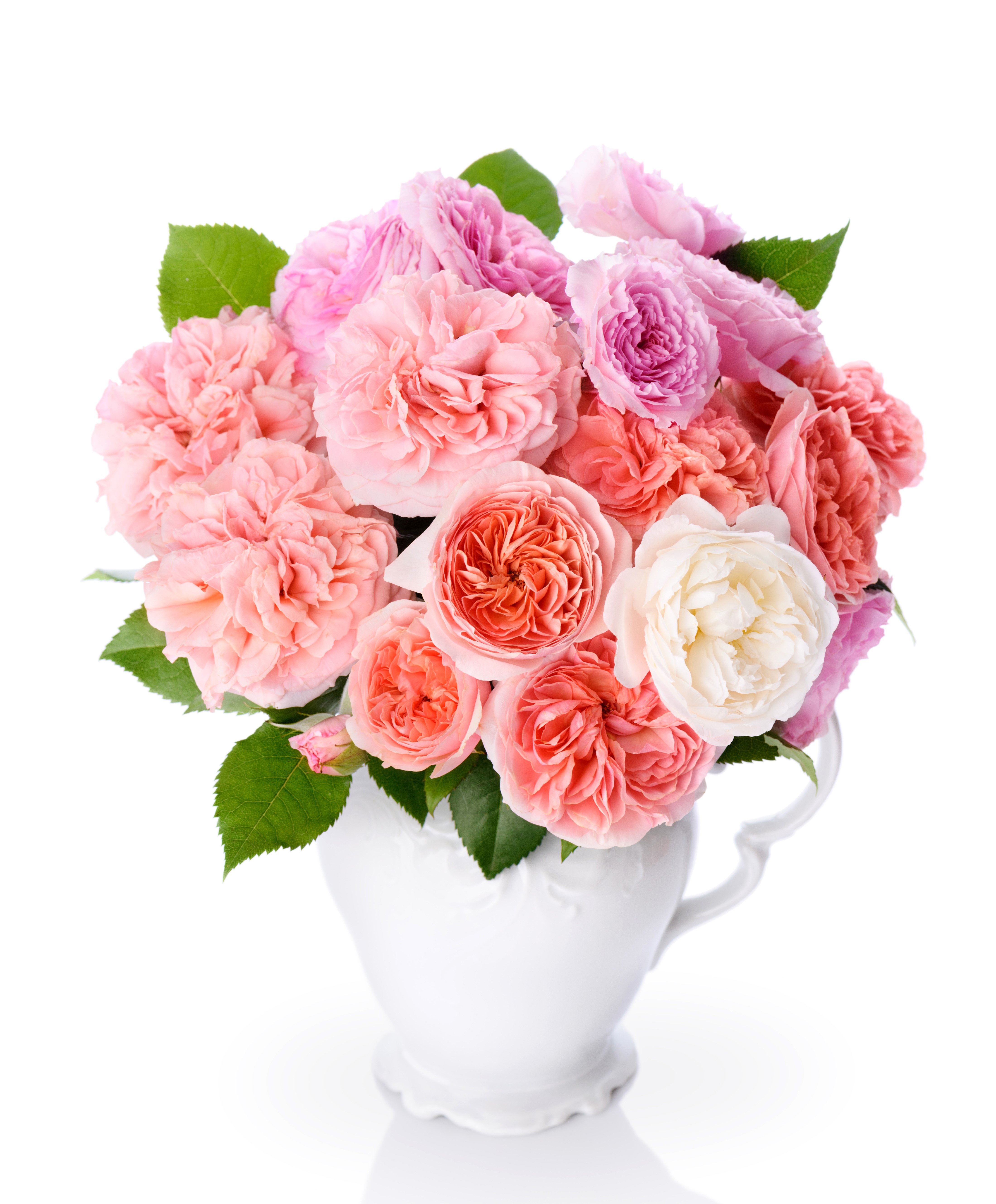 Bouquet of Roses in a White Vase HD Phone Wallpaper