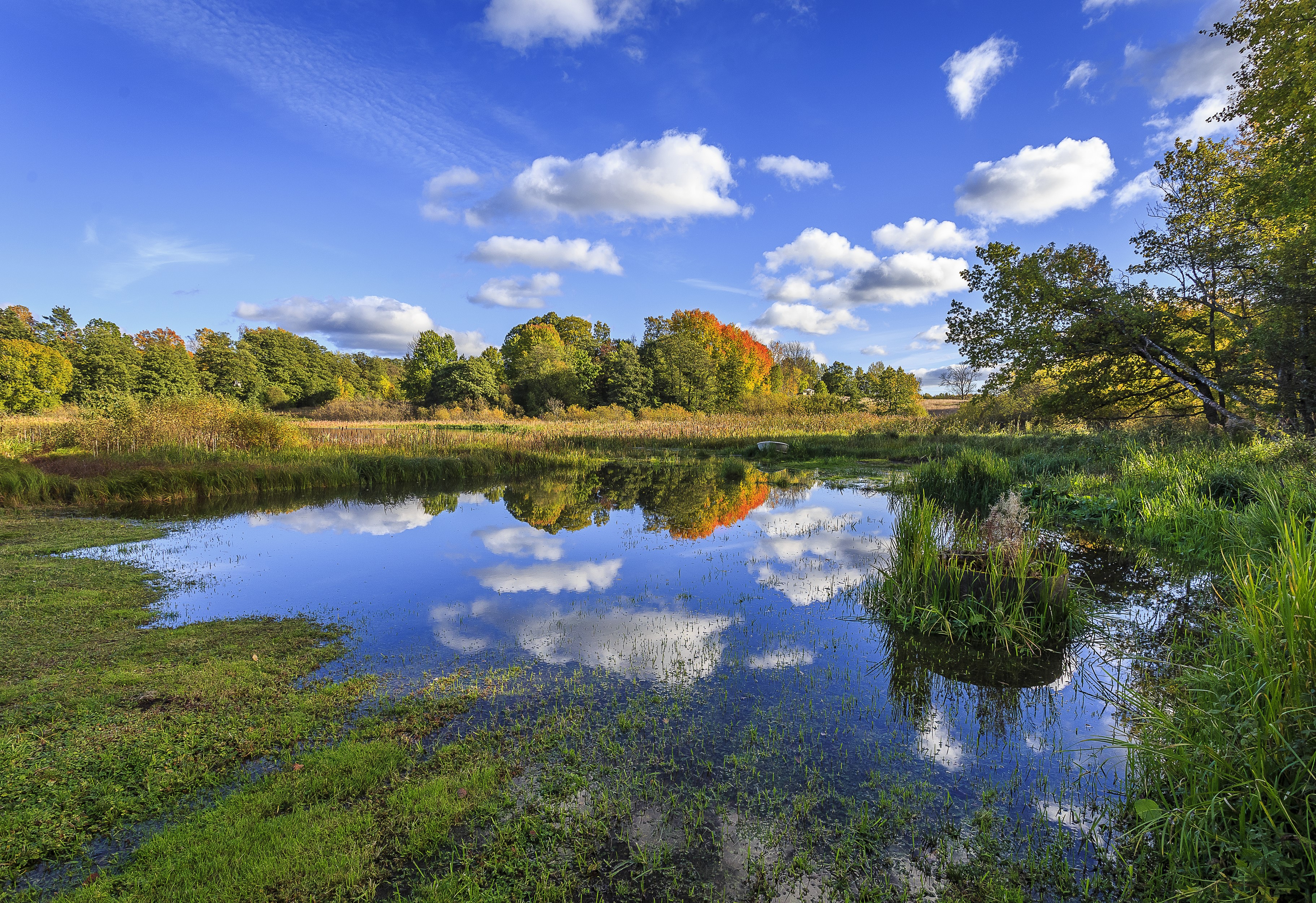 Autumn trees reflected in a calm lake under a blue sky HD Wallpaper
