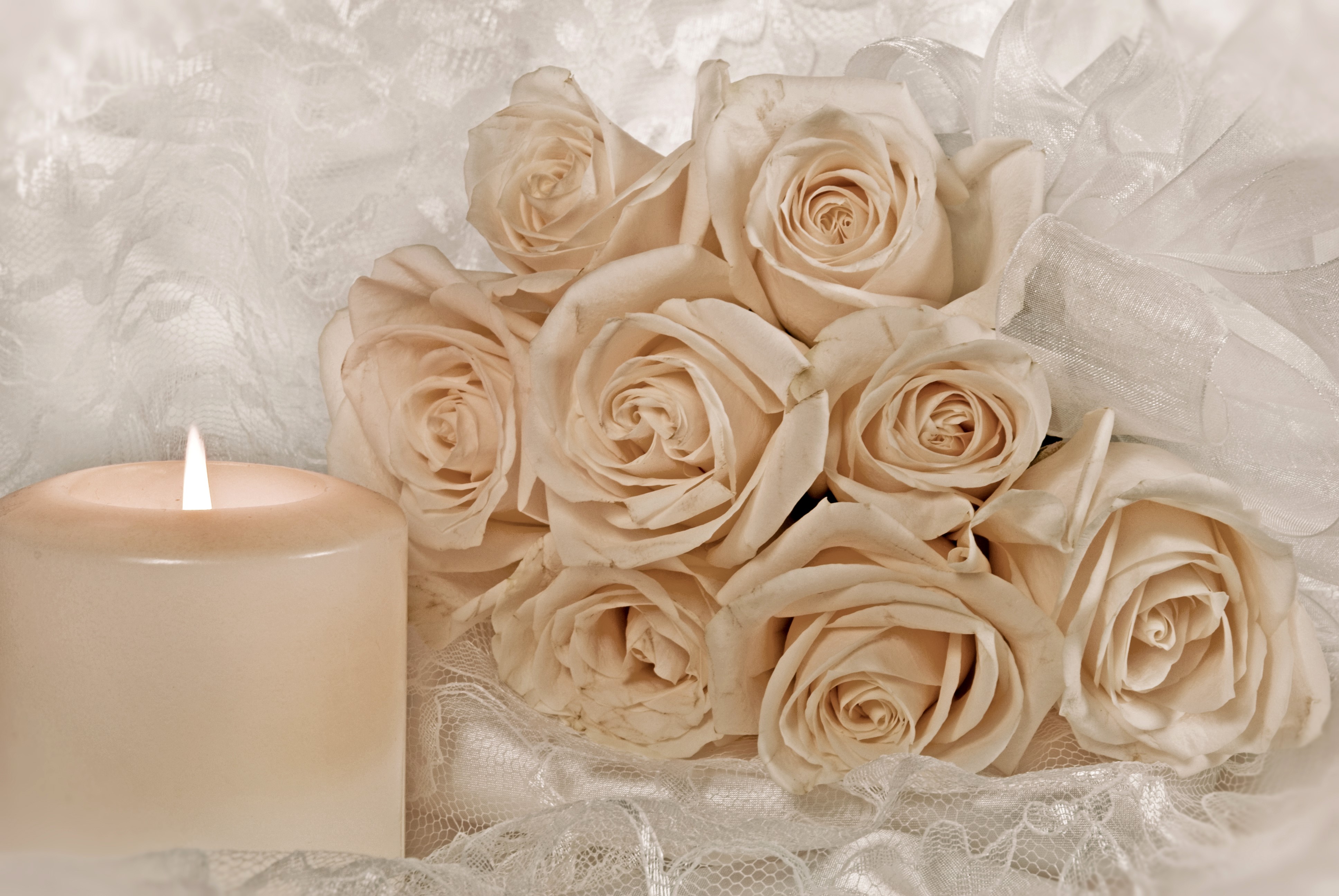 Cream Roses and Candle on Lace HD Wallpaper