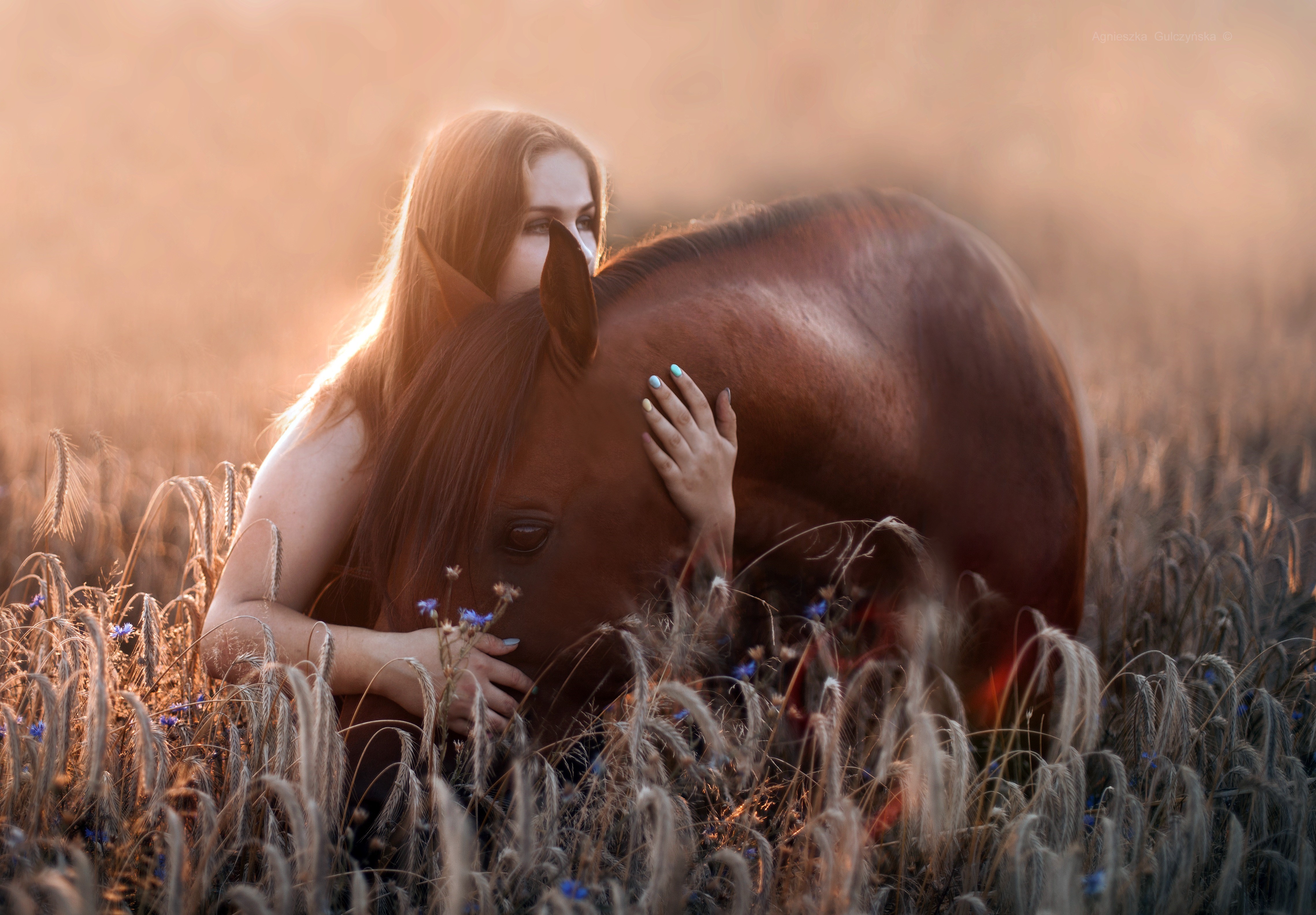 Woman hugging a horse in a field HD Wallpaper