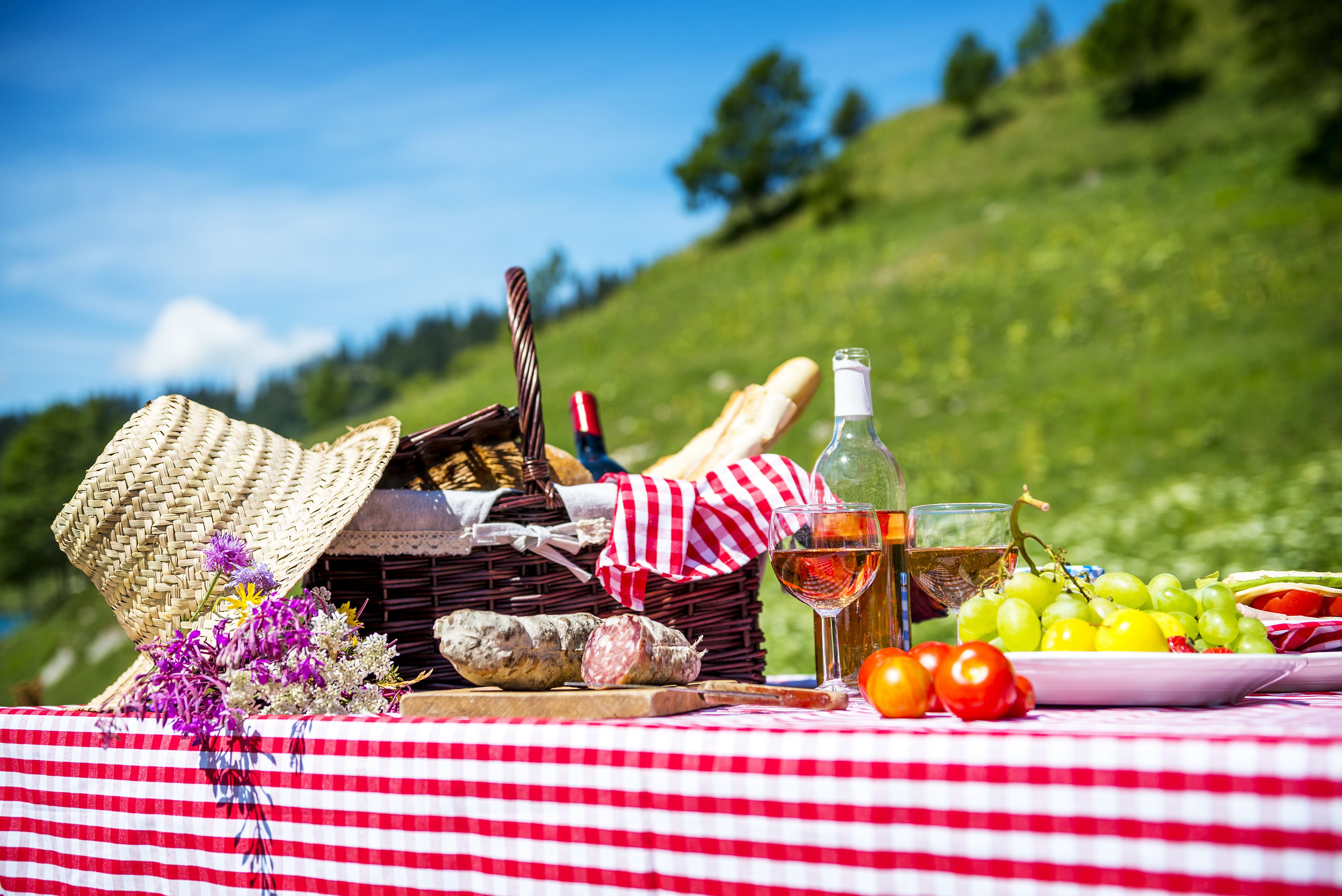Picnic with wine, grapes, sausage, and hat HD Wallpaper