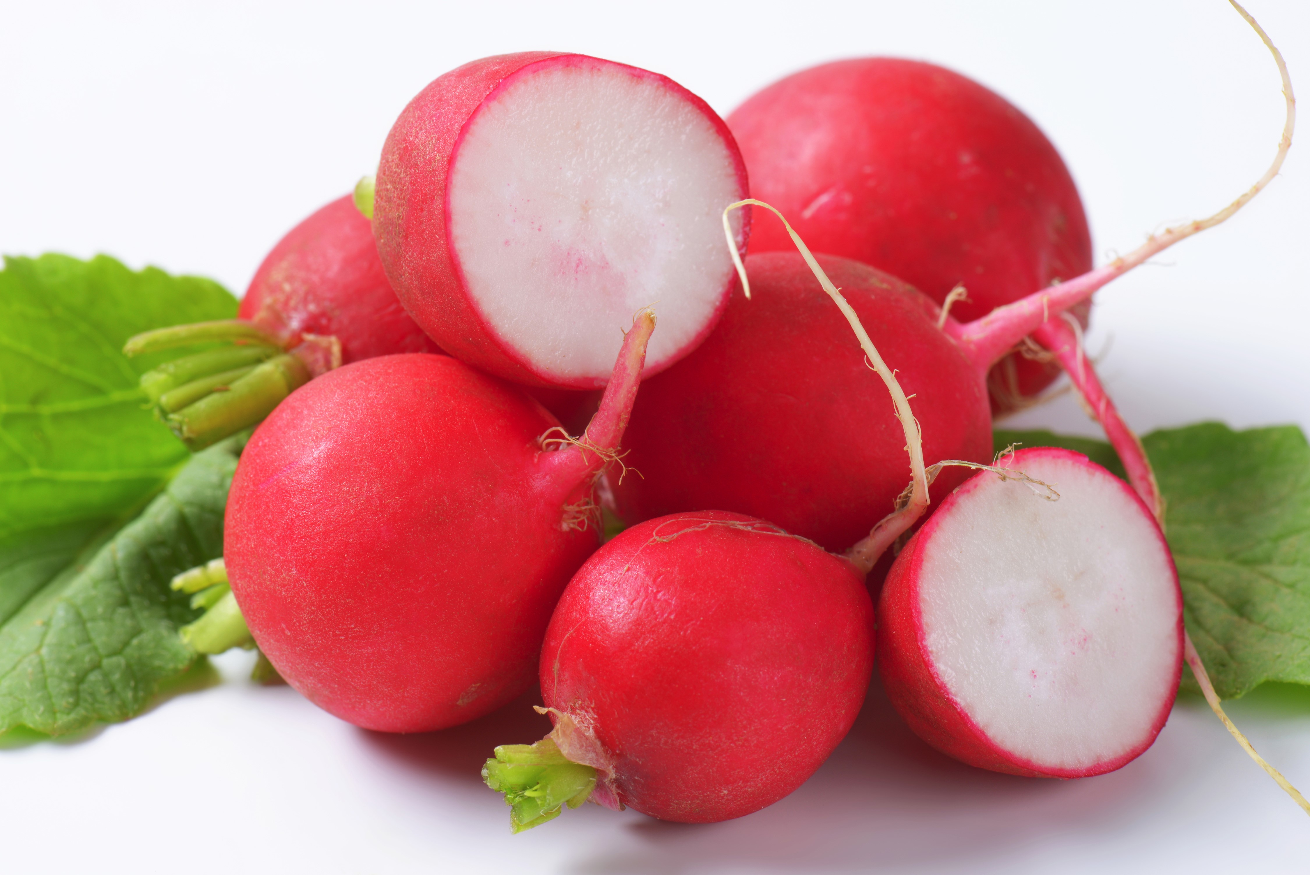 Radishes closeup on white background HD Wallpaper