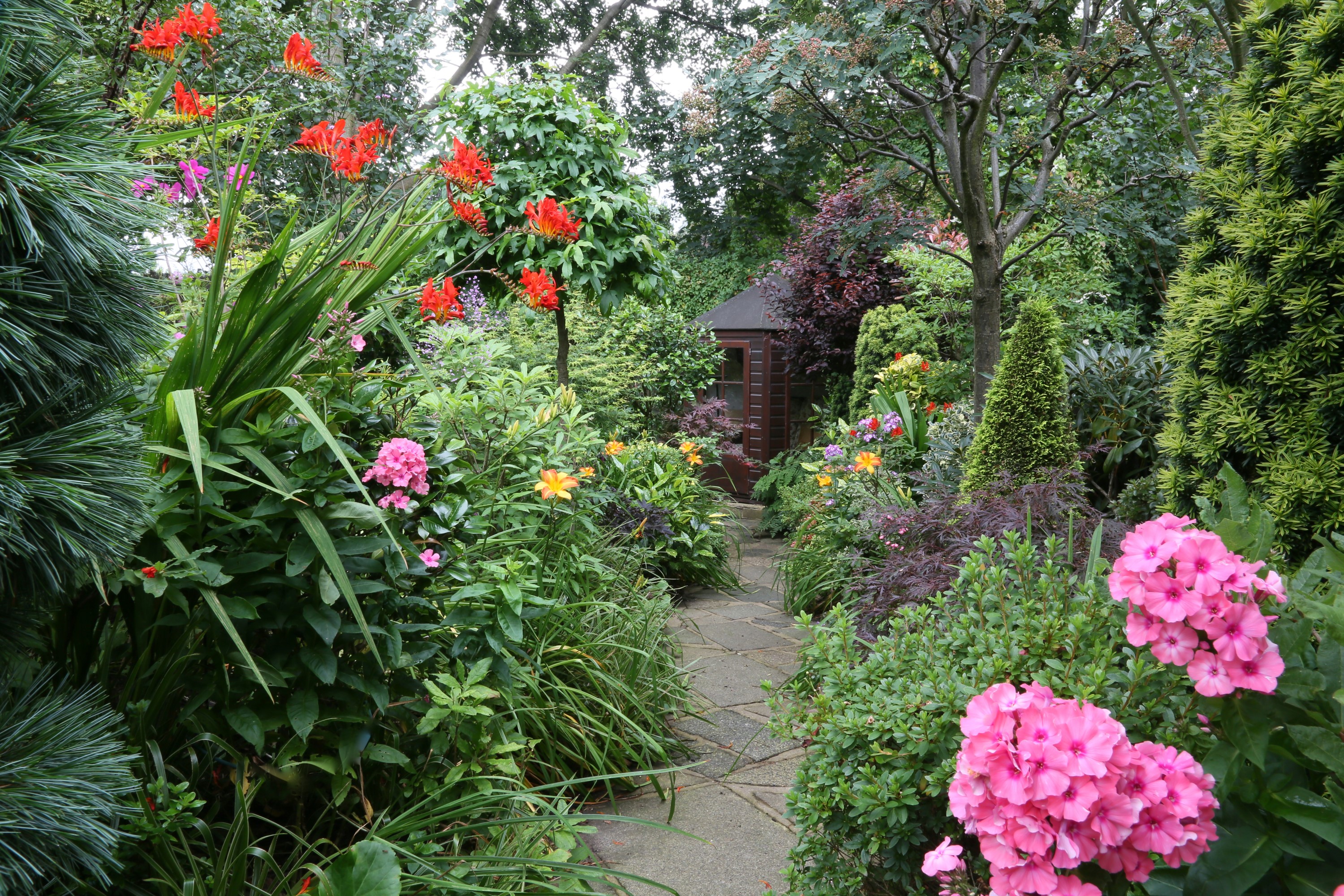 English garden with a stone path and a shed HD Wallpaper