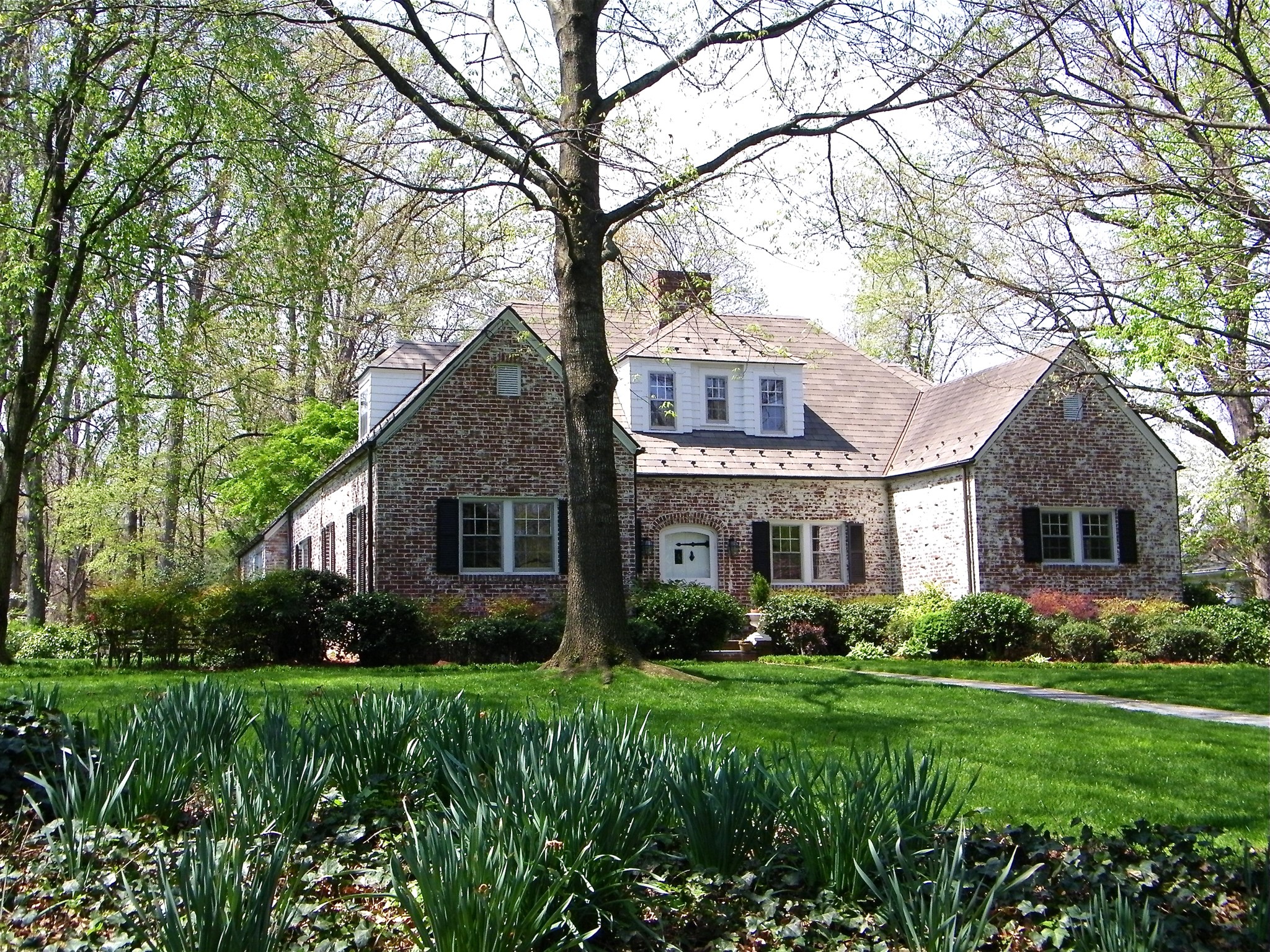 Brick house with a large lawn and trees HD Wallpaper