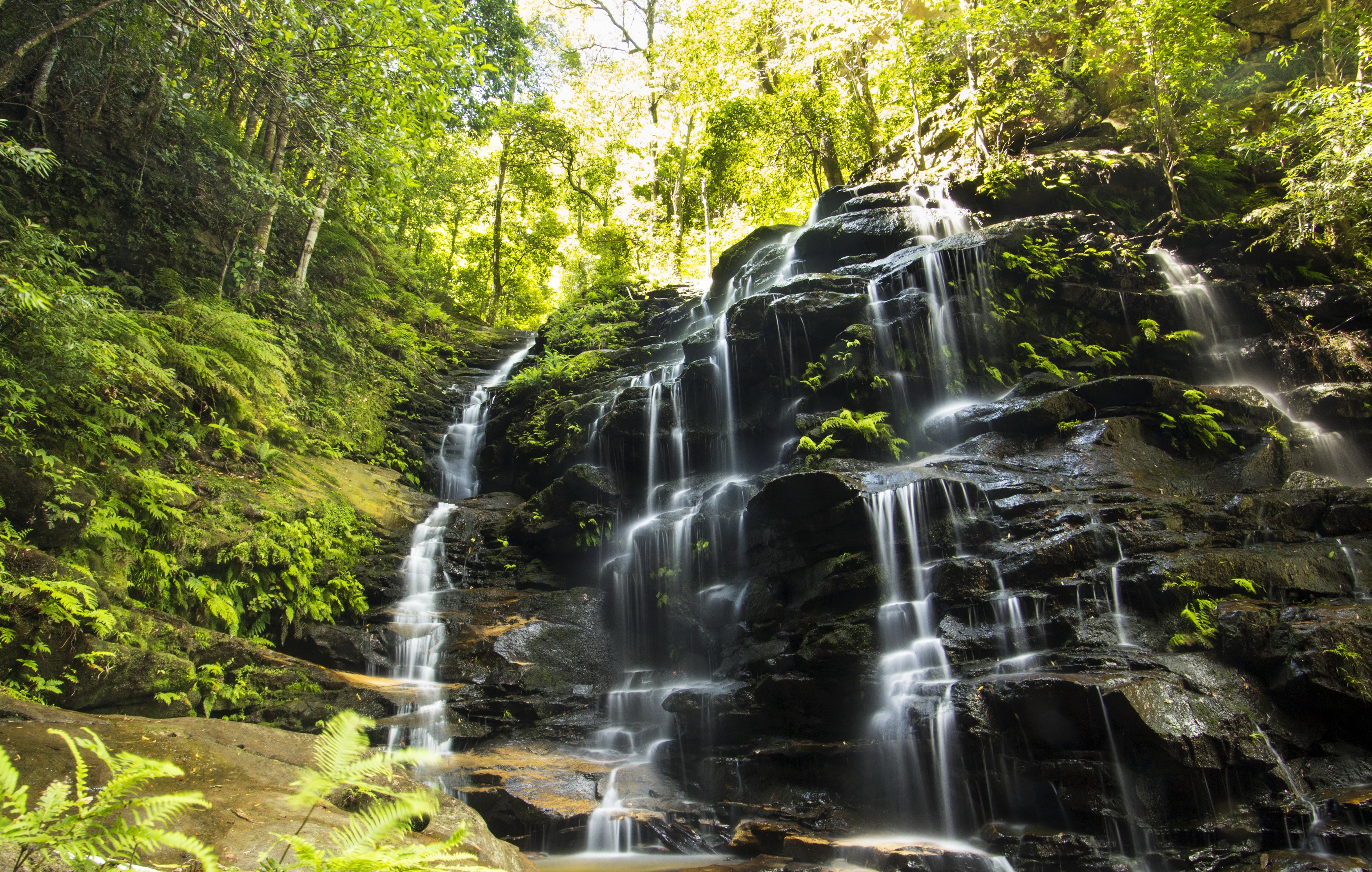 Wentworth Falls waterfall in Australia HD Wallpaper