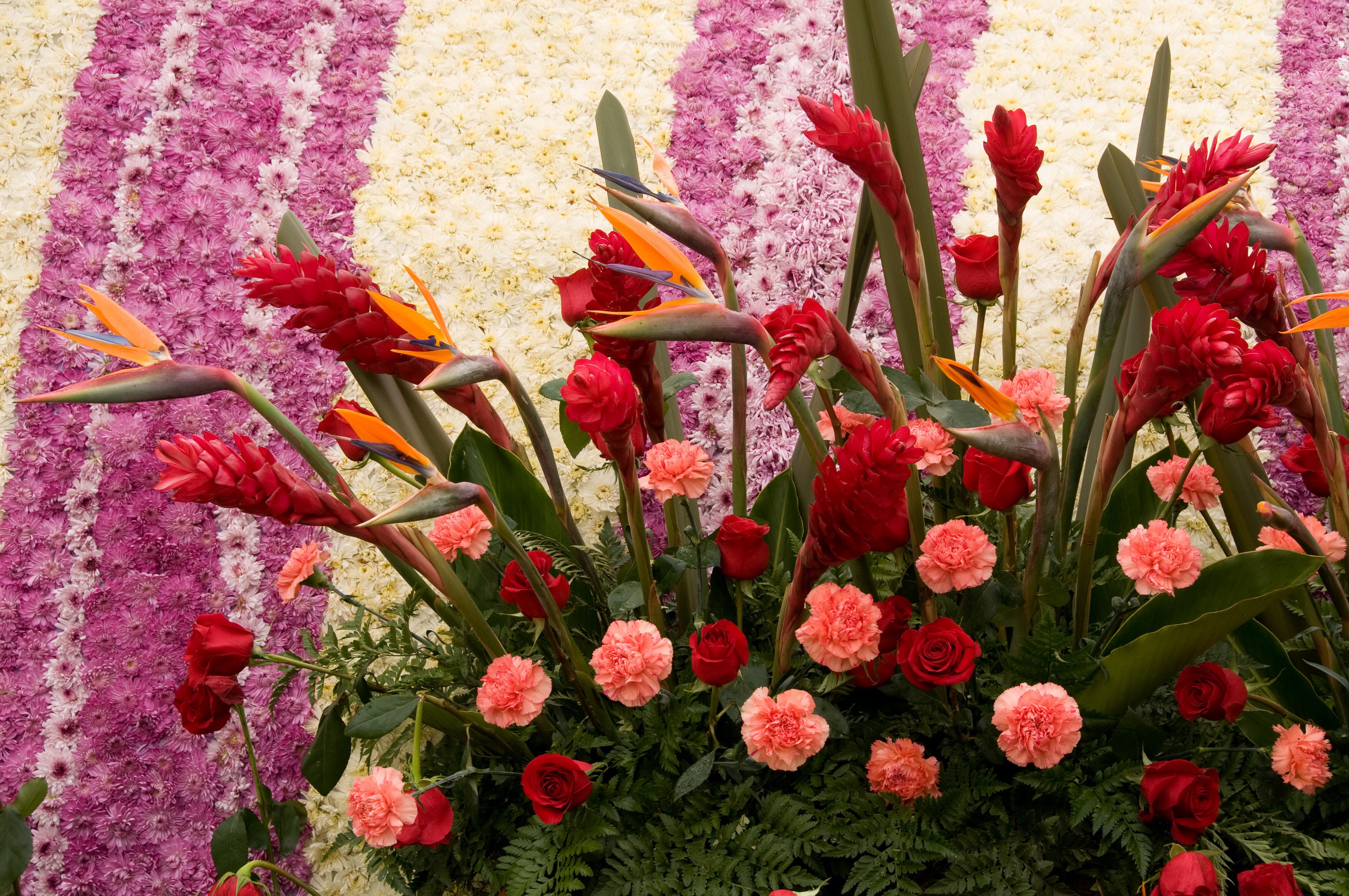 Floral arrangement with Birds of Paradise and Ginger flowers HD Wallpaper