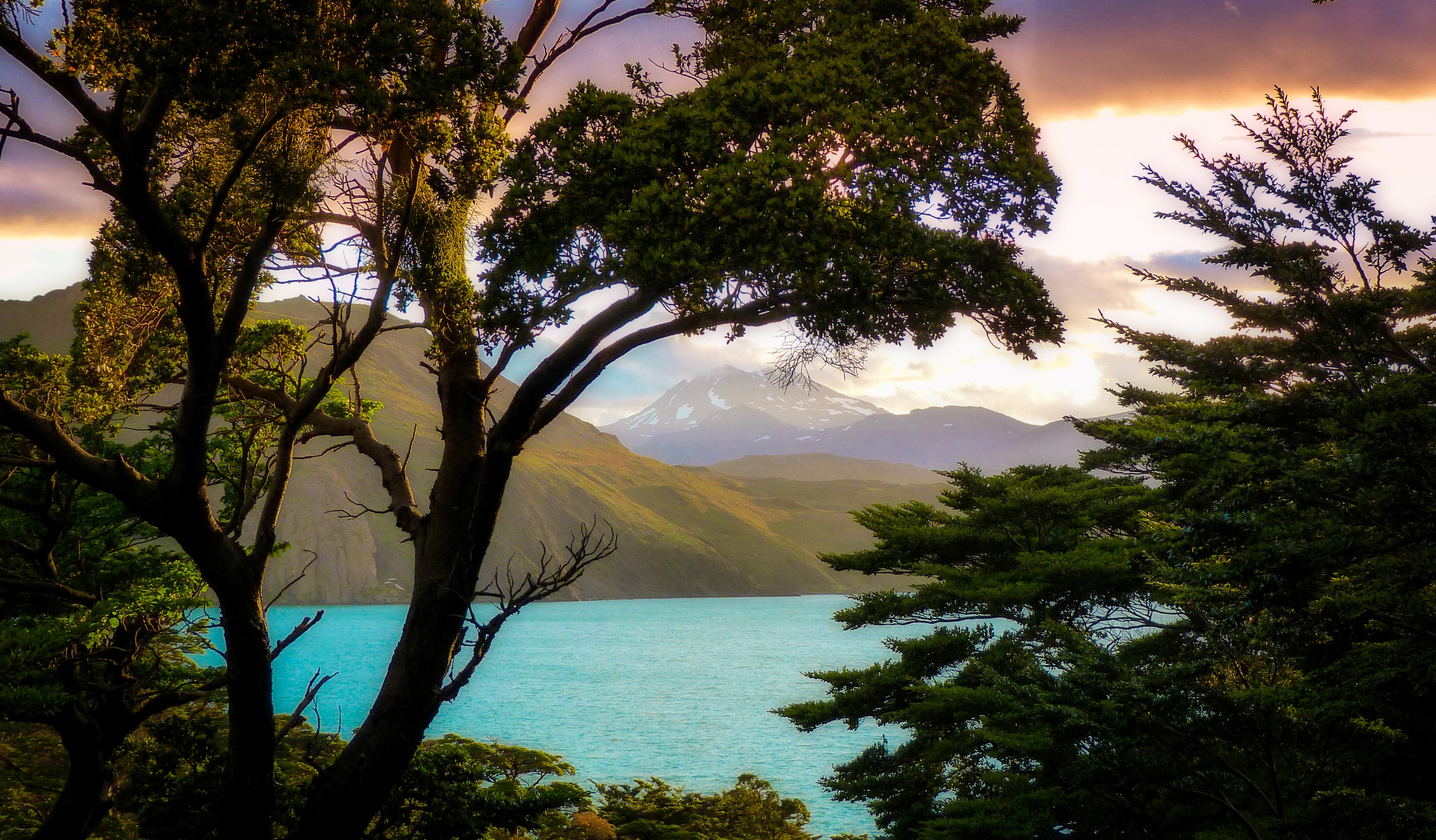 Patagonia Lake with Mountains and Trees HD Wallpaper