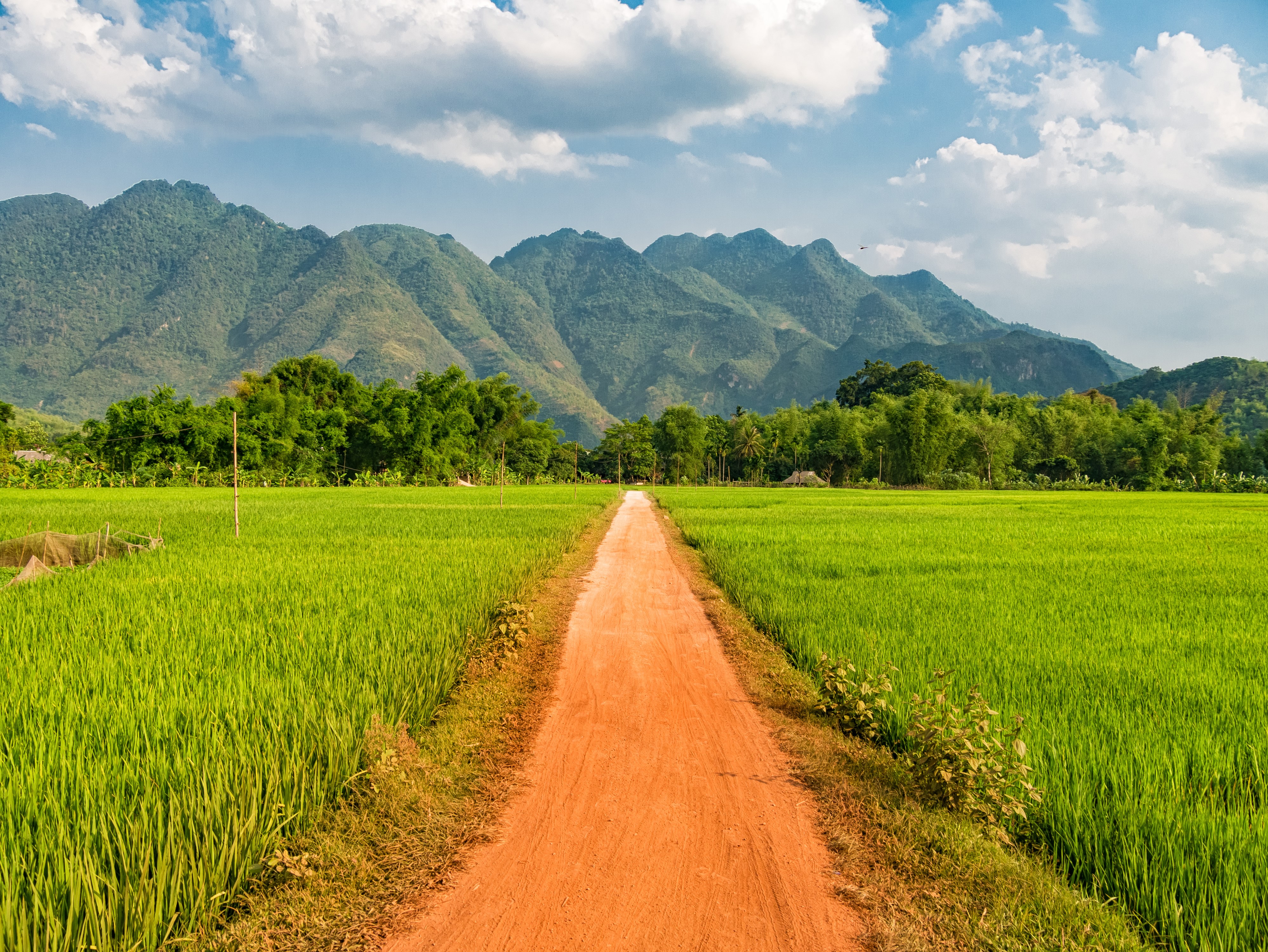 4K Mai Chau Vietnam Mountains and Rice Fields Road HD Wallpaper